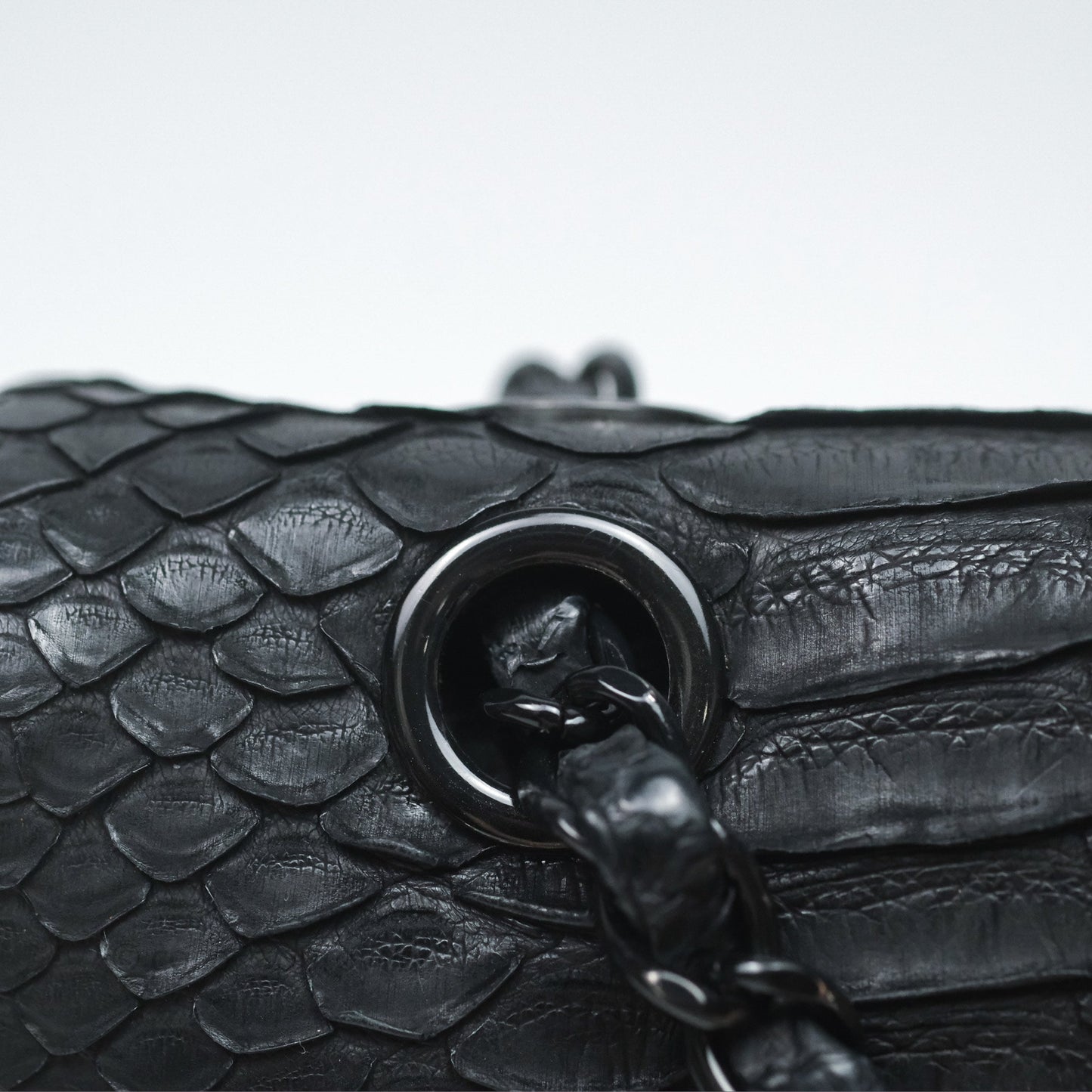 Chanel Classic M/L Medium Flap So Black Python Black Hardware