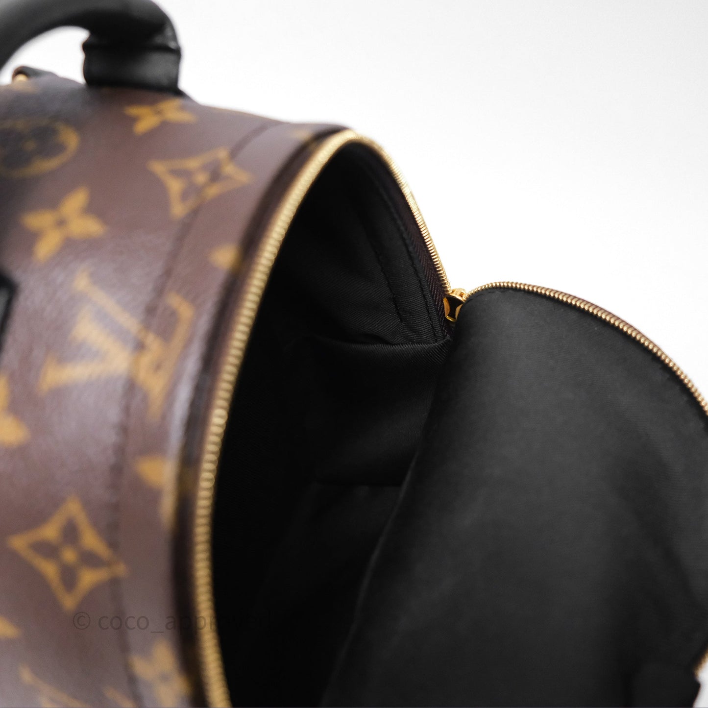 Louis Vuitton Mini Palm Springs Backpack⁣ Monogram