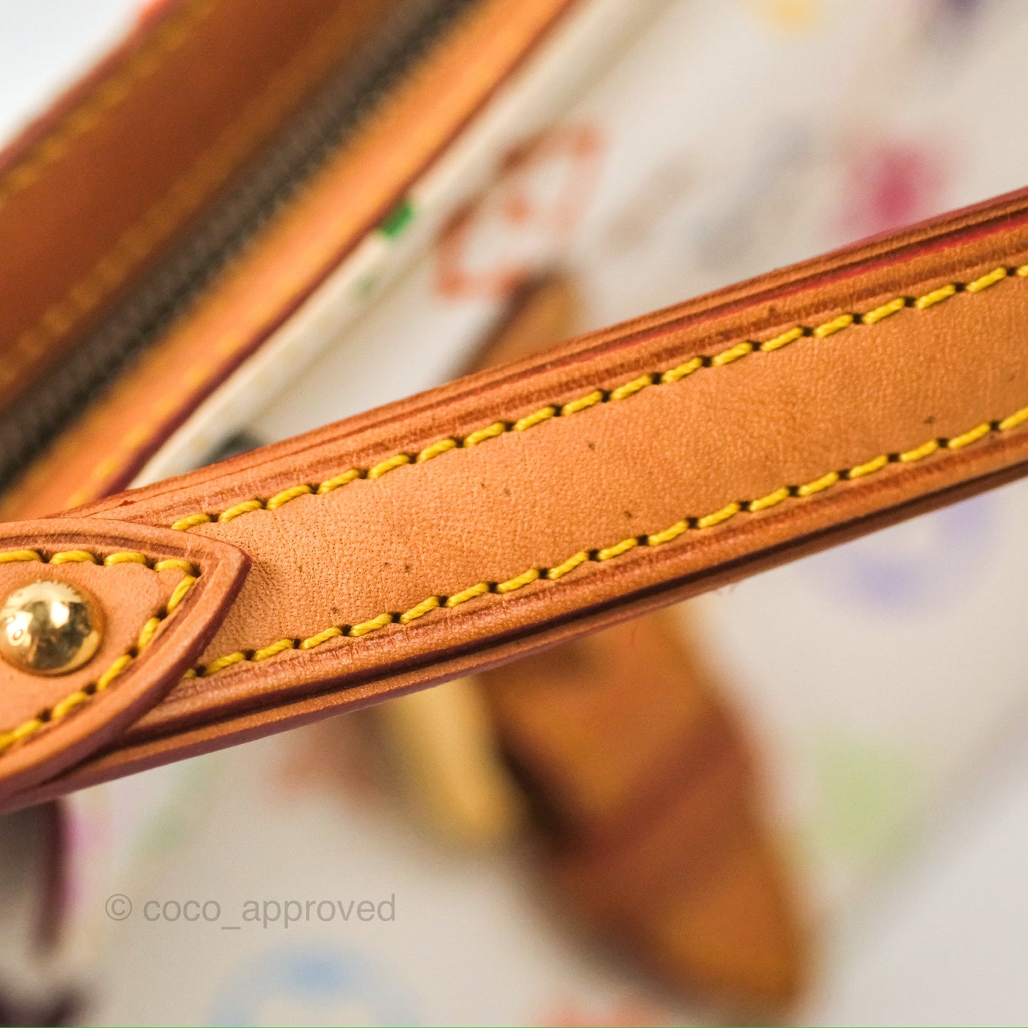 Louis Vuitton Eliza Handbag Monogram Multicolor Murakami
