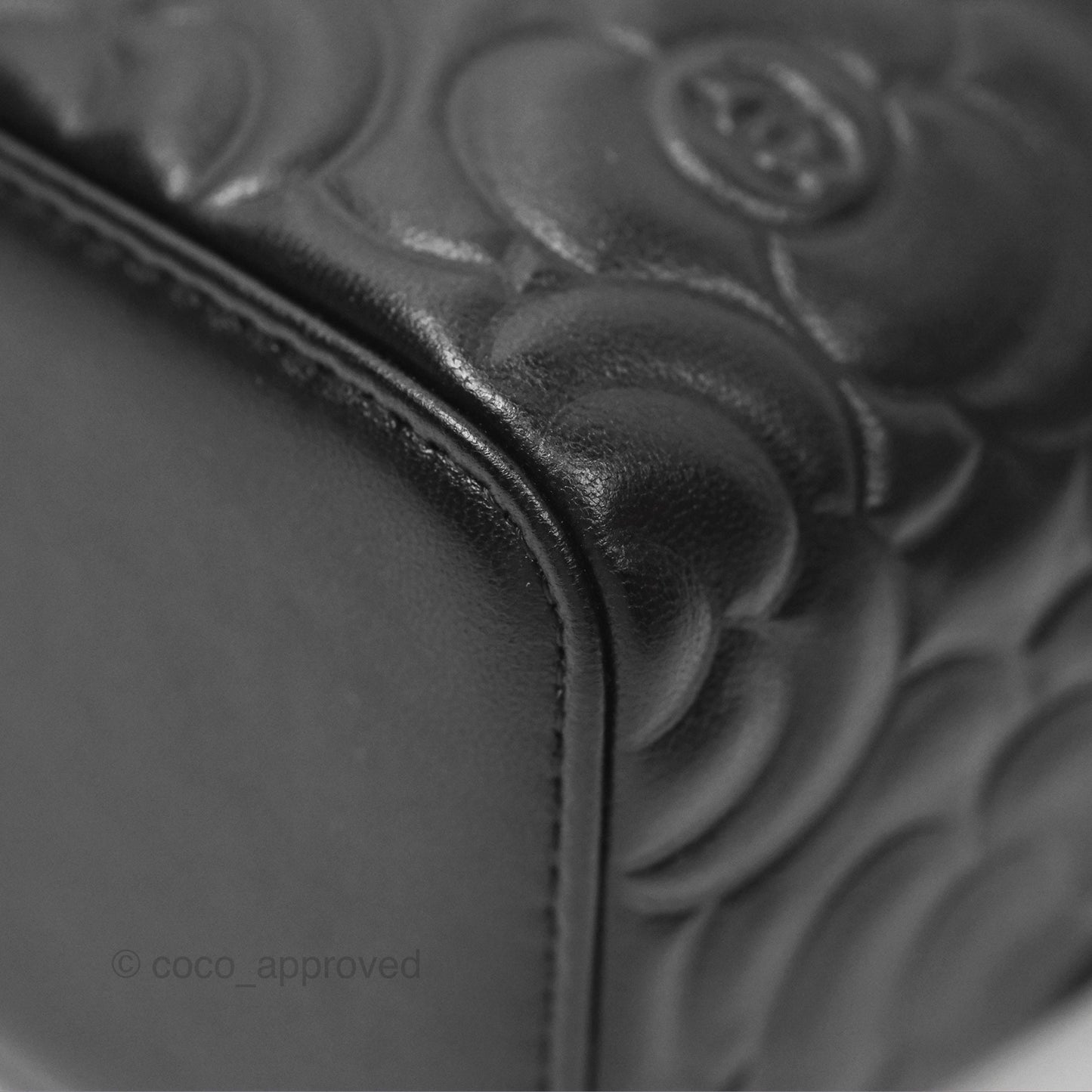 Chanel Vanity Rectangular Camellia Embossed Black Lambskin Gold Hardware 21S