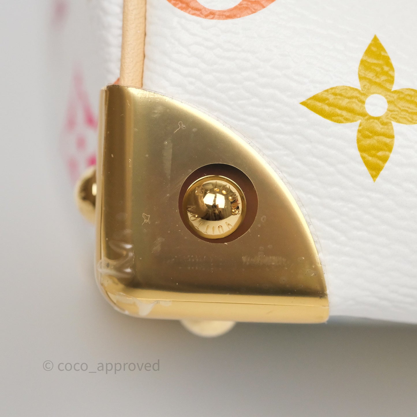 Louis Vuitton x TM Speedy Bandoulière 25