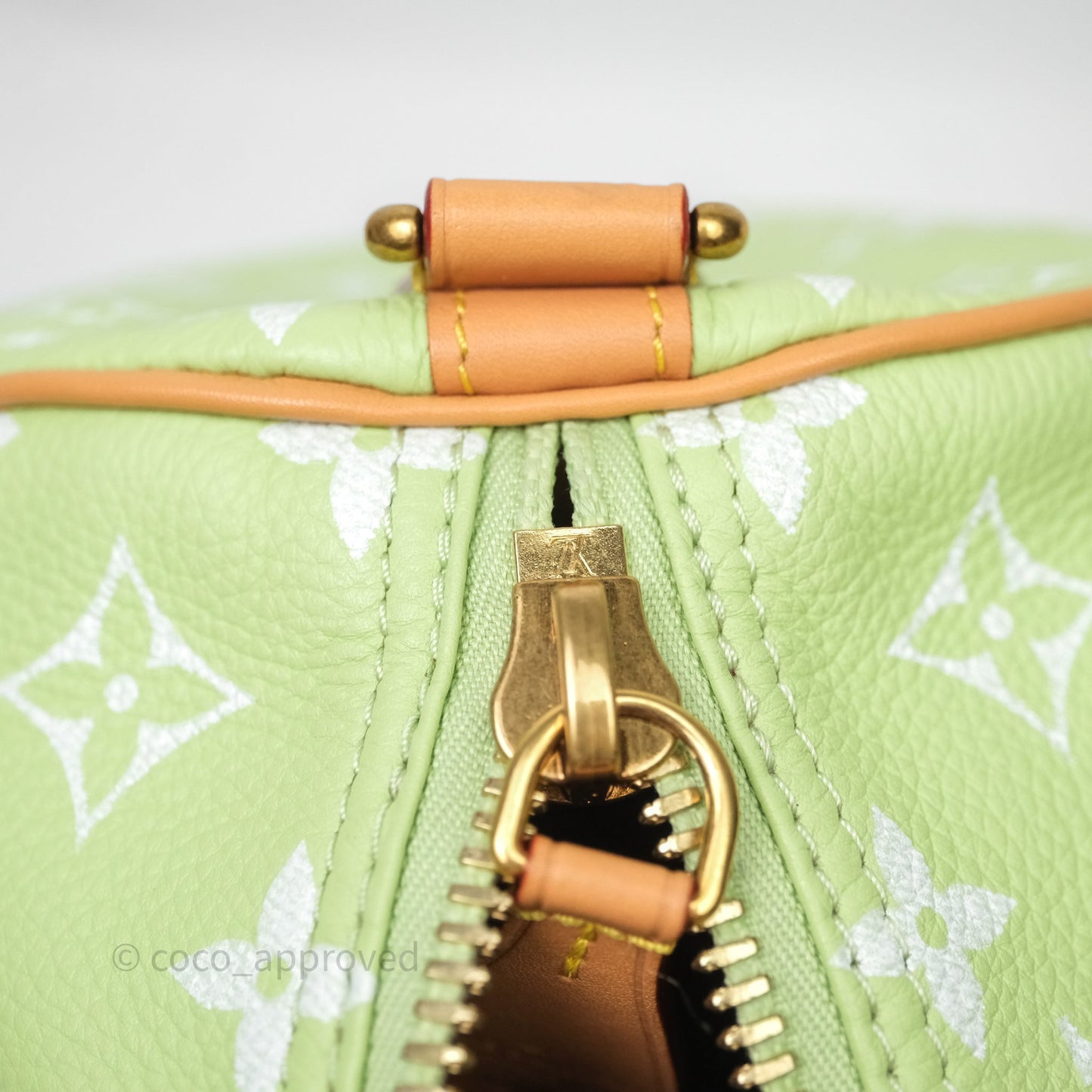 Louis Vuitton Speedy P9 Bandouliere 30 Vert Clair Bag
