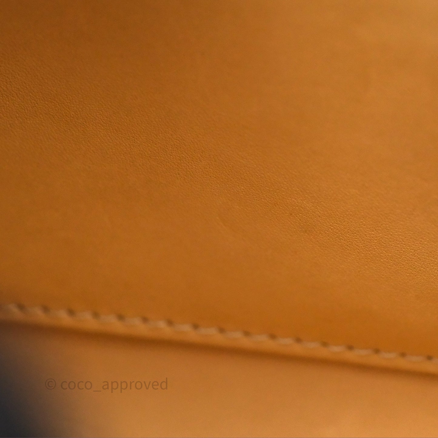 Delvaux Mini Brillant Bag Vison Grained Calfskin Gold Hardware with Twilly
