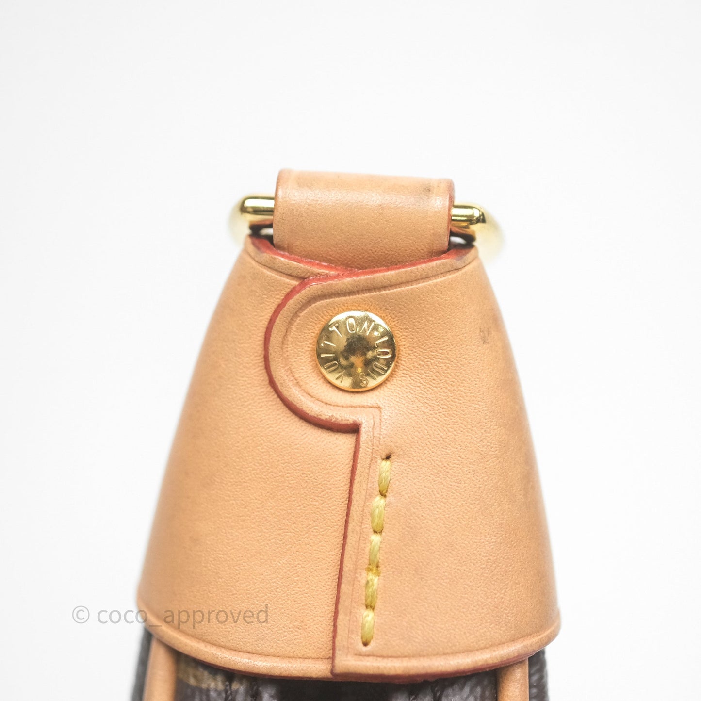 Louis Vuitton Loop Monogram Canvas