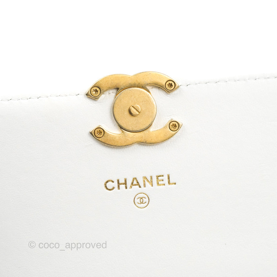 Chanel Mini Resin Chain Wallet on Chain WOC White Lambskin Gold Hardware