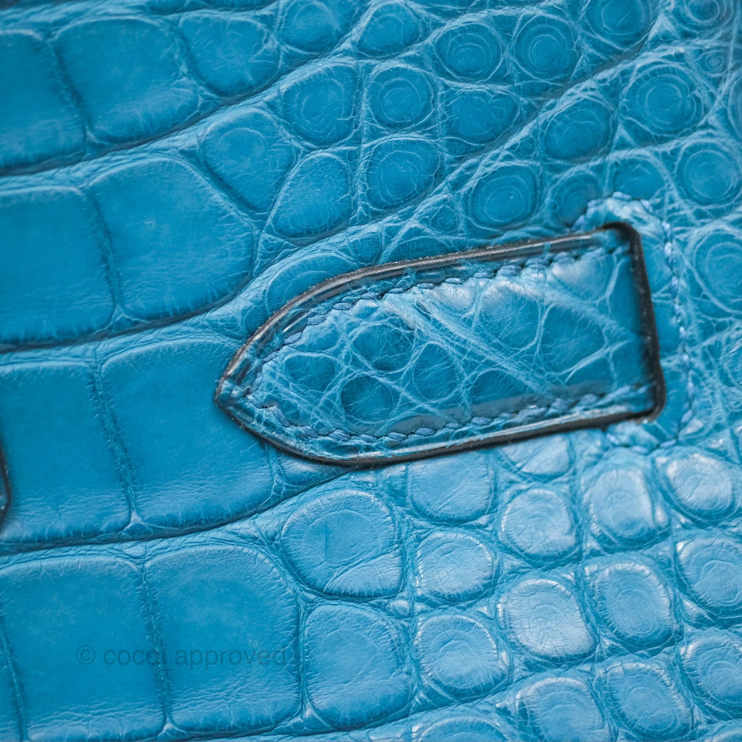 Hermès Birkin 30 Retourne Colvert Matte Niloticus Crocodile Palladium Hardware