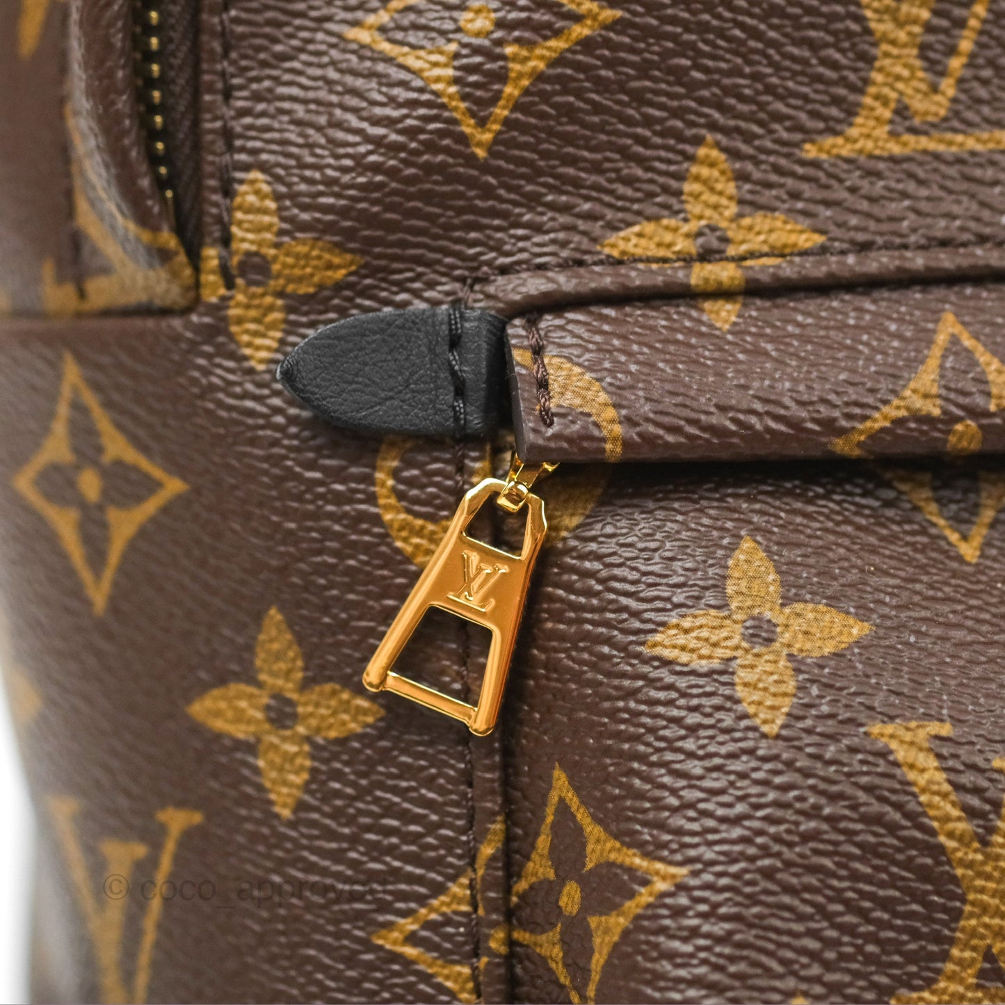 Louis Vuitton Palm Springs Backpack⁣ Monogram PM