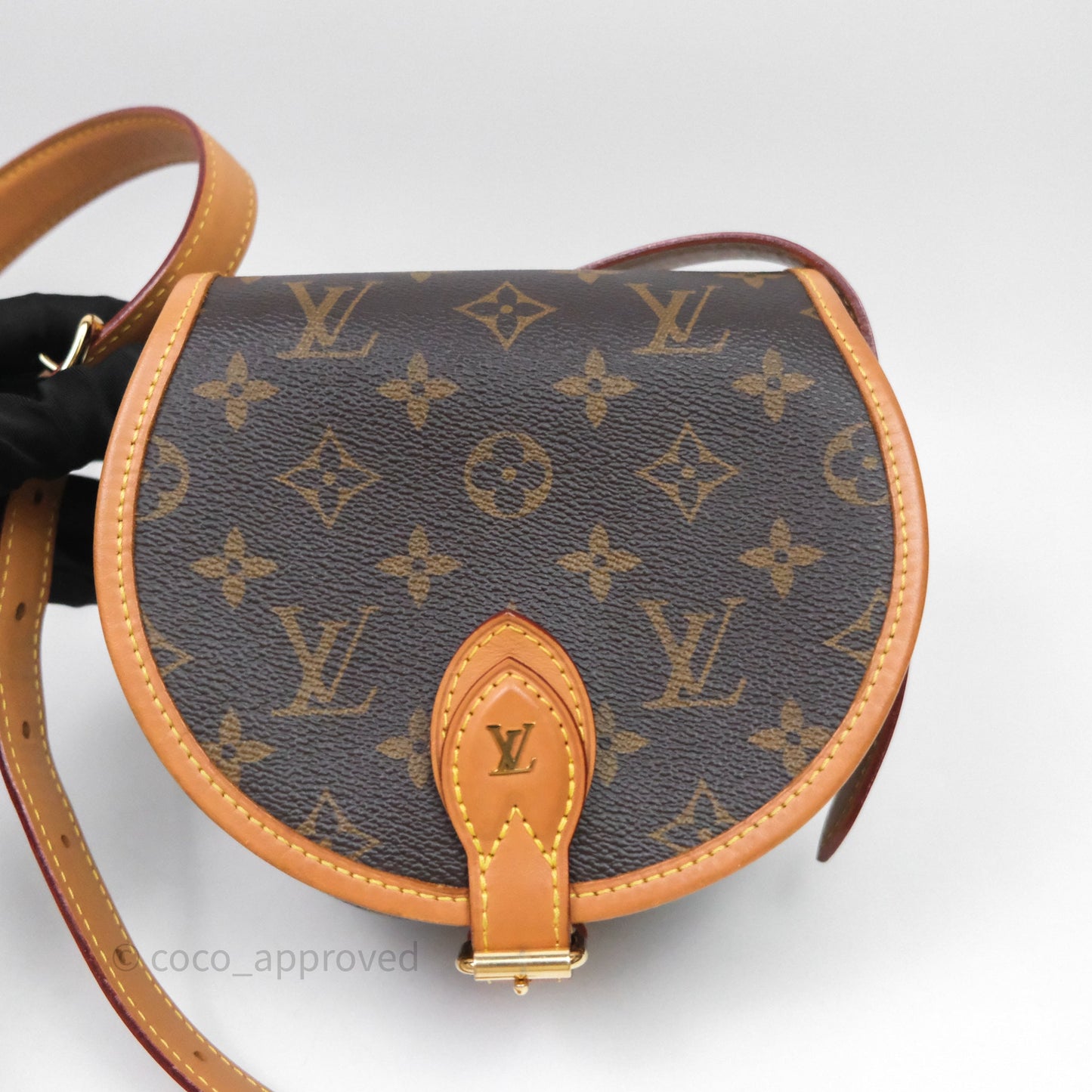 Louis Vuitton Tambourin Monogram Canvas Bag