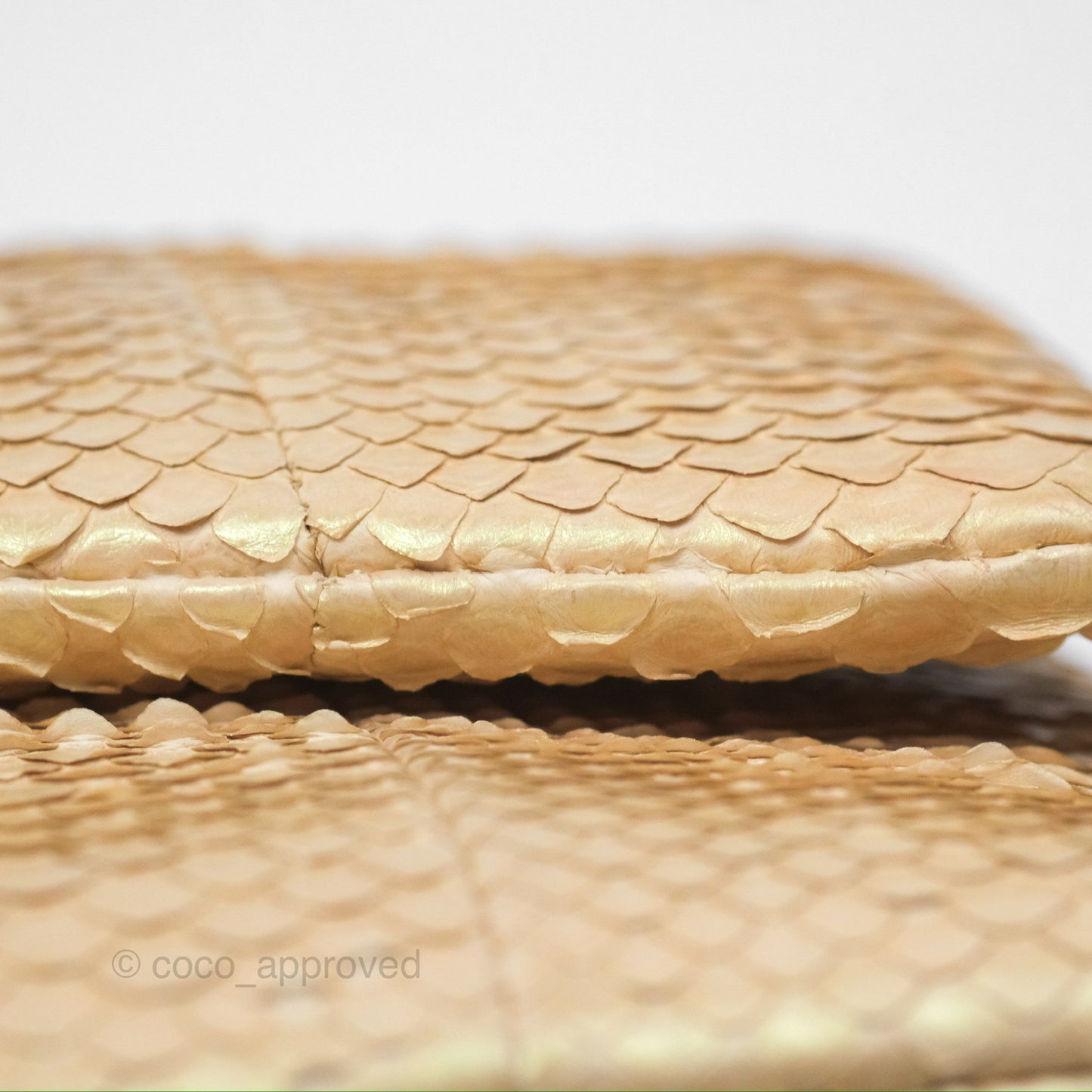 Chanel Jumbo Double Flap Iridescent Gold Python Gold Hardware⁣⁣