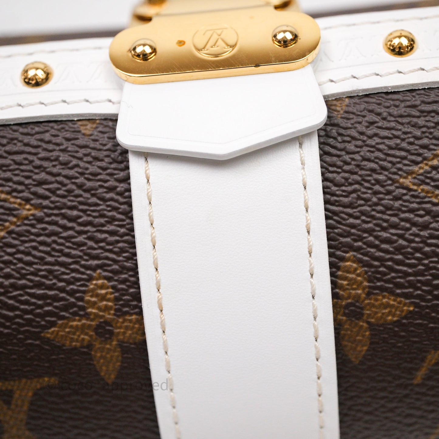 Louis Vuitton Monogram Papillon Trunk Bag