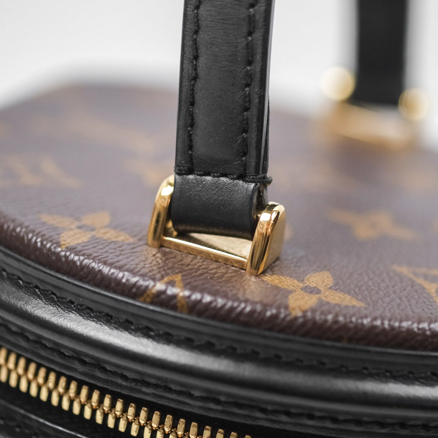 Louis Vuitton Monogram Canvas Reverse Cannes Bag