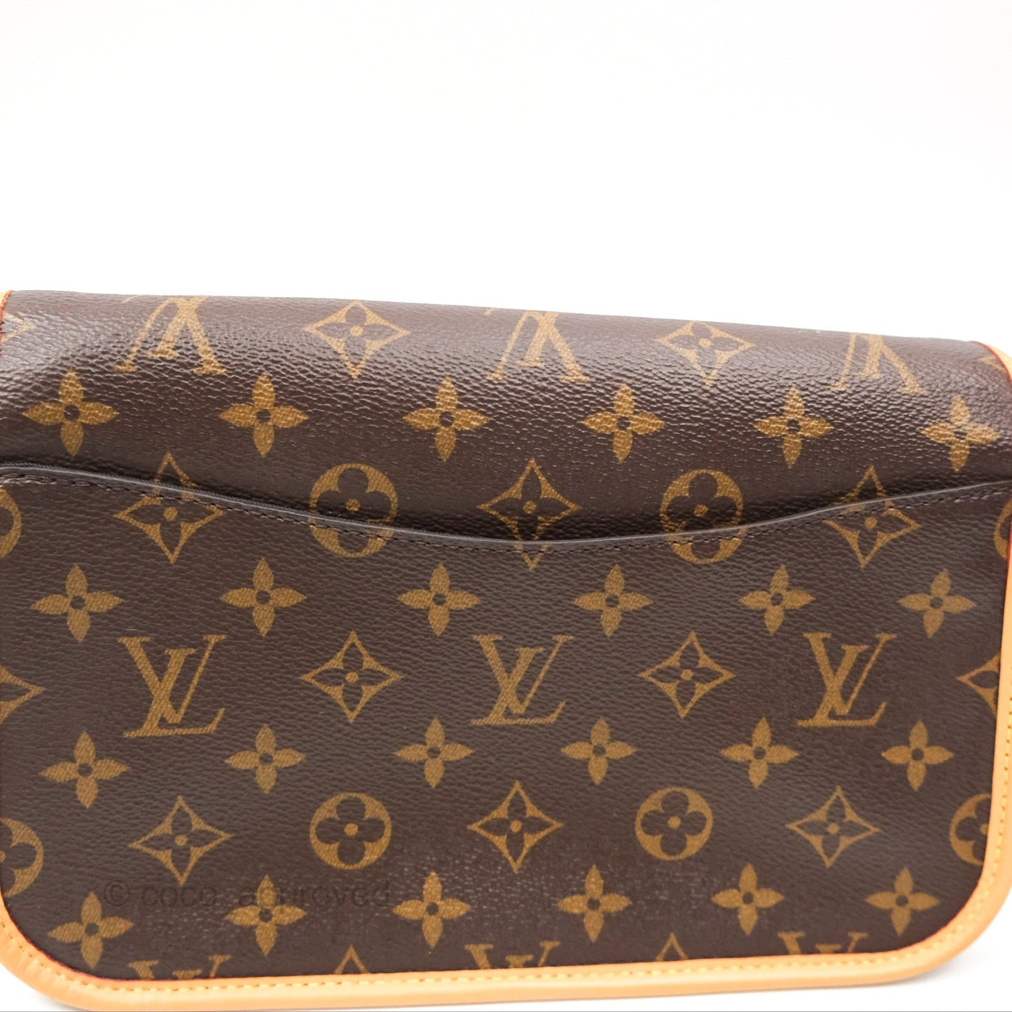 Louis Vuitton Diane Bag Monogram Canvas with Jacquard Strap
