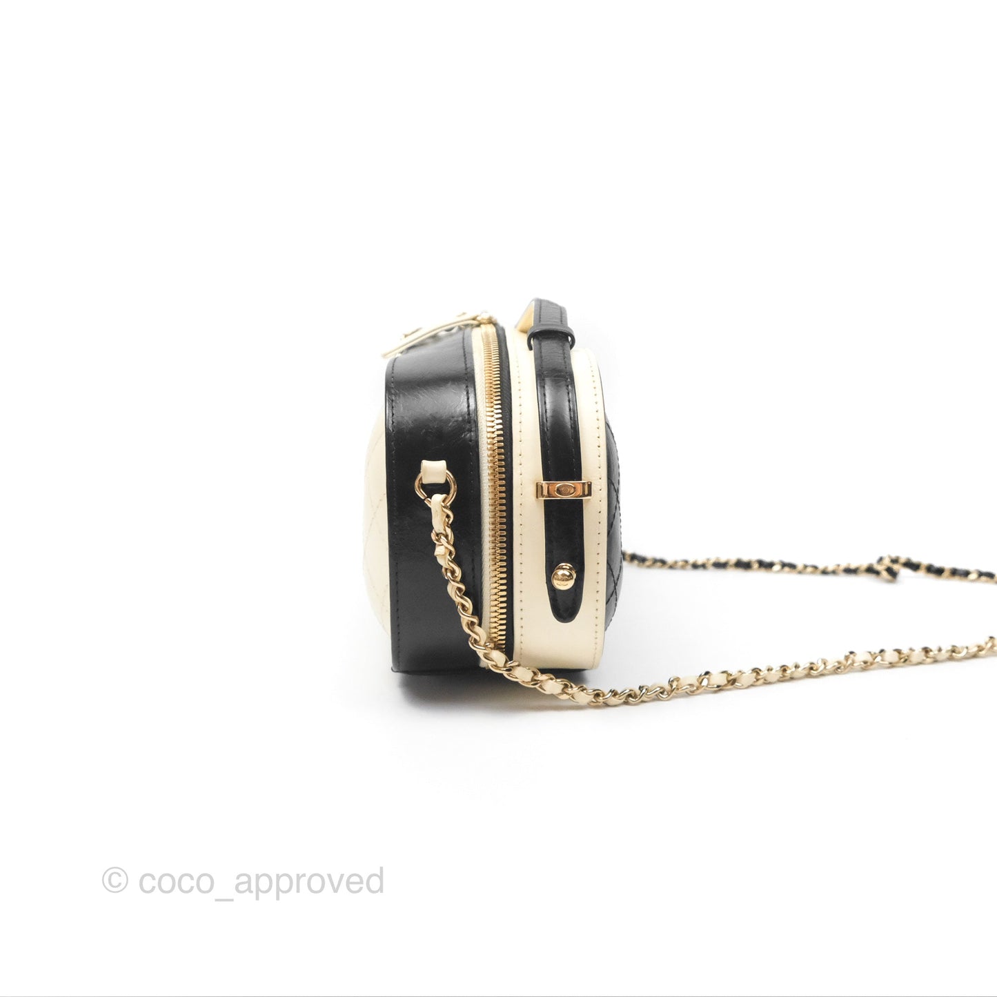 Chanel Camera Case Bag Black/White Calfskin Gold Hardware