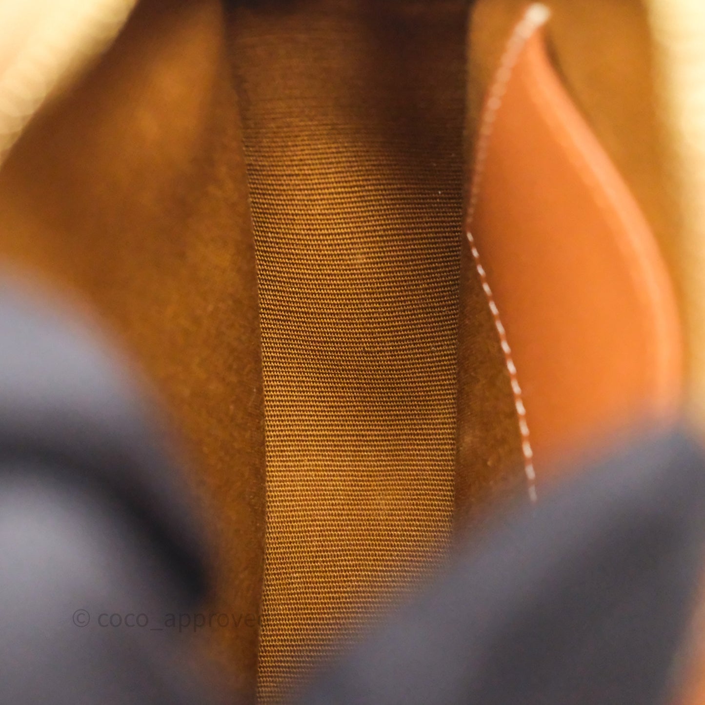 Celine Round Purse on Strap Triomphe Canvas Tan