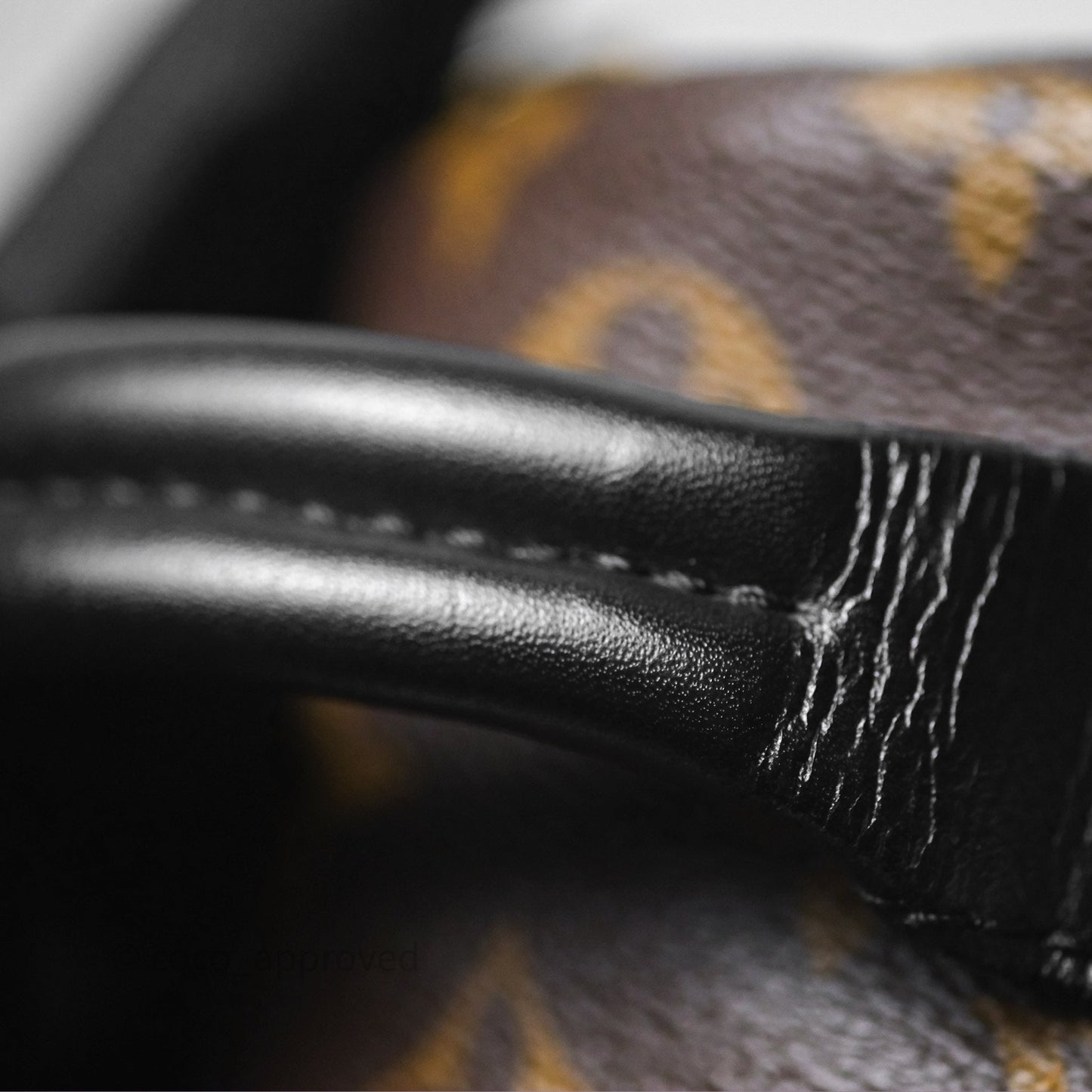 Louis Vuitton Monogram Mini Palm Springs Backpack⁣