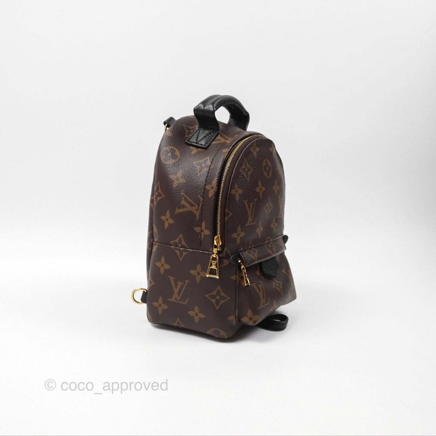 Louis Vuitton Monogram Mini Palm Springs Backpack⁣