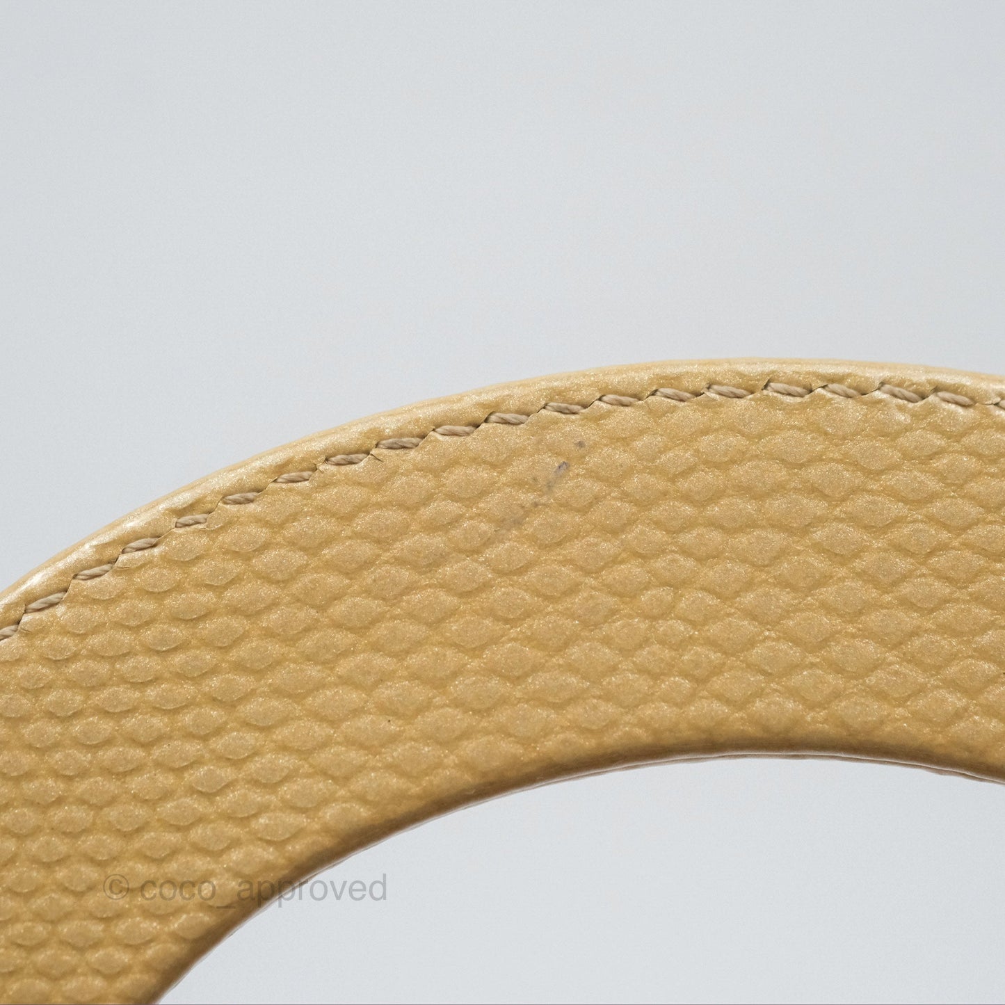 Christian Dior Mini Lady Dior Beige Lizard Gold Hardware