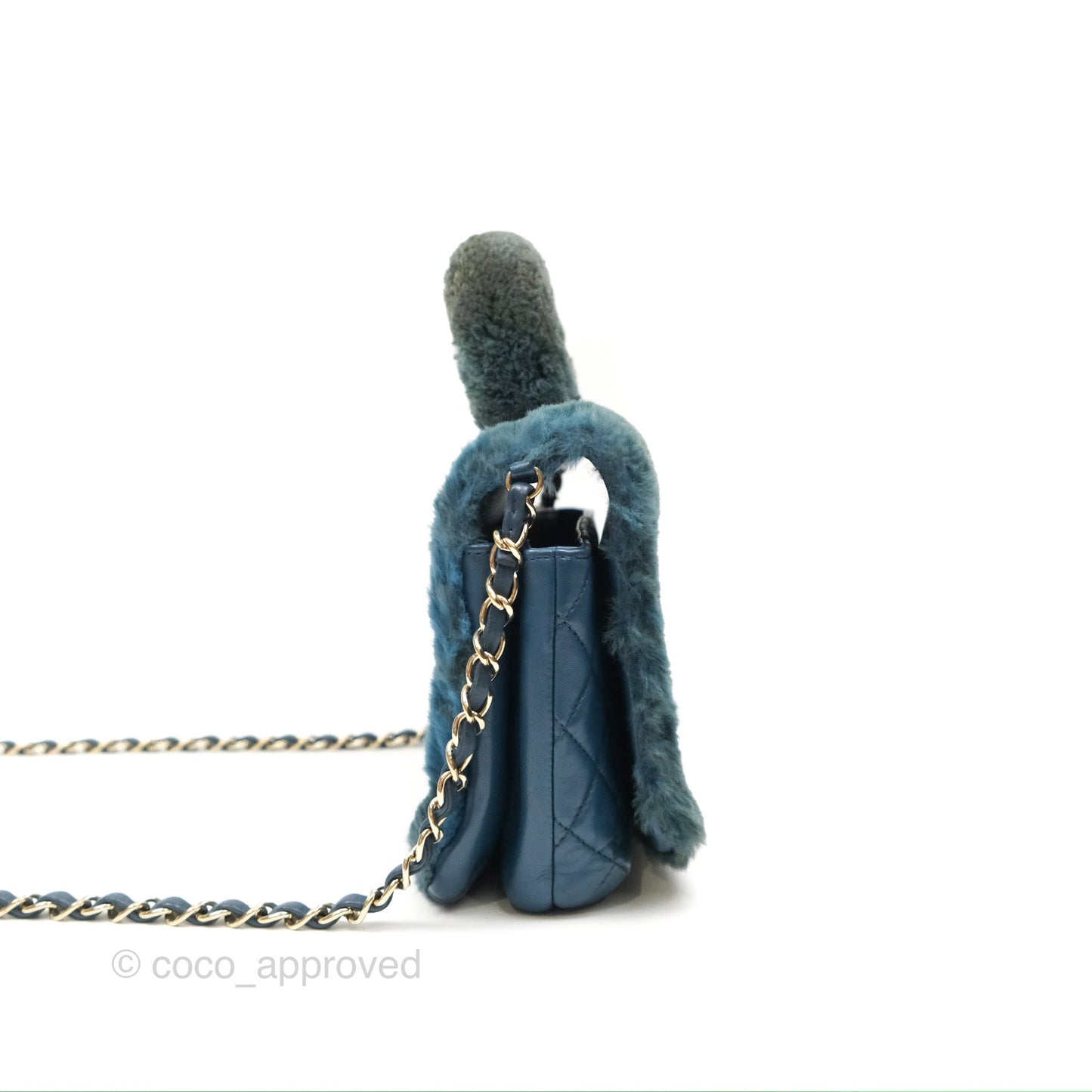 Chanel Top Handle Bag Green Blue Orylag Fur 17A