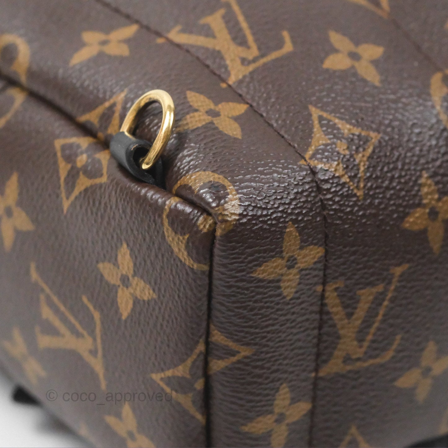 Louis Vuitton Monogram Mini Palm Springs Backpack⁣