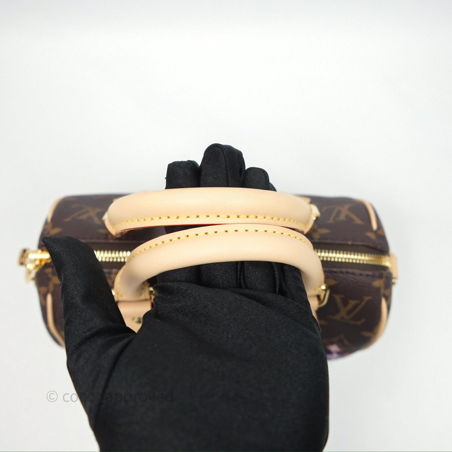 Louis Vuitton LV x Murakami Speedy Bandoulière 20 Monogram