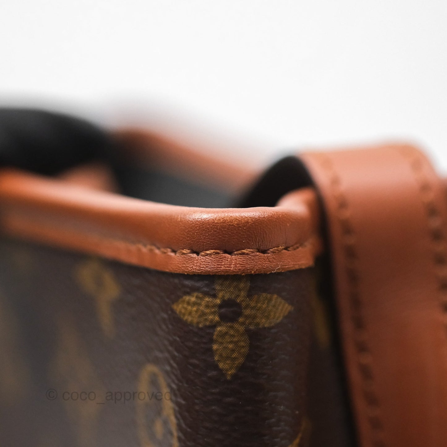 Louis Vuitton Monogram Dauphine Backpack