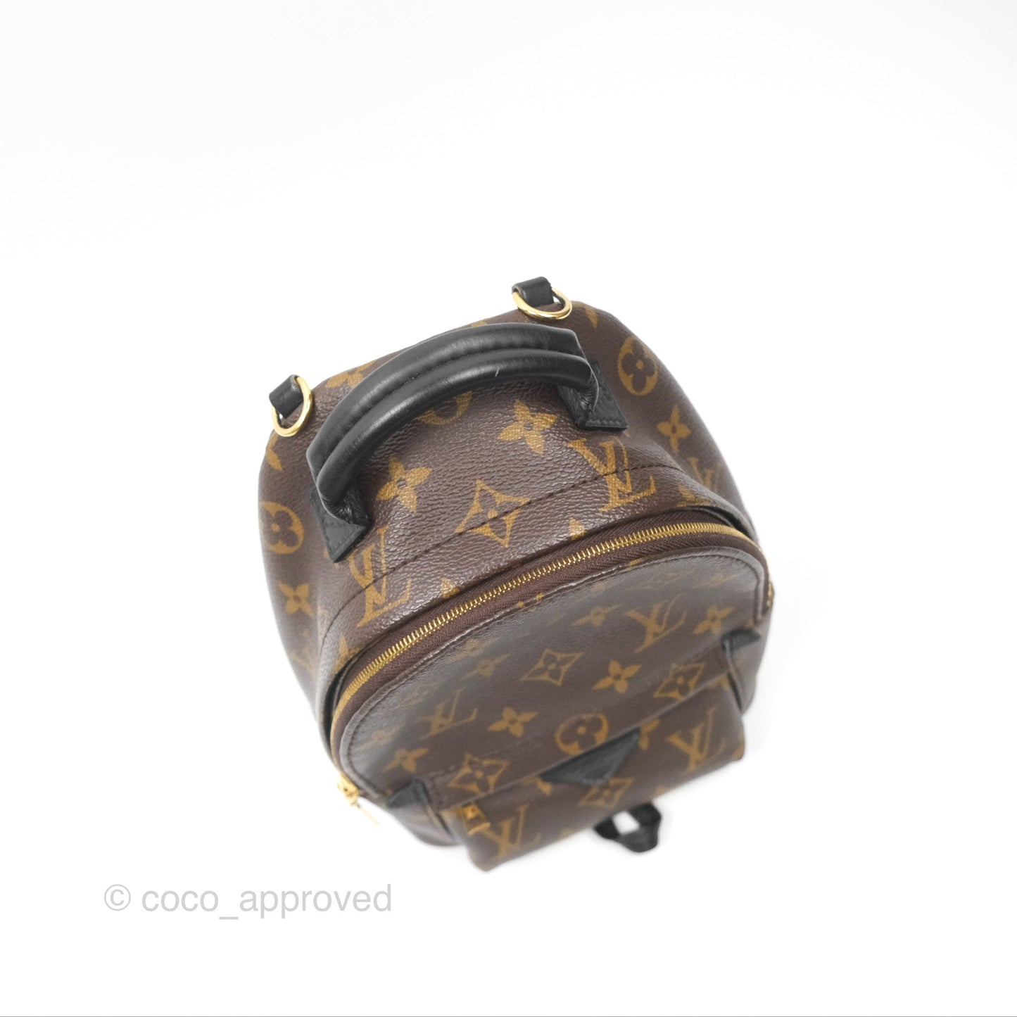 Louis Vuitton Mini Palm Springs Backpack⁣ Monogram