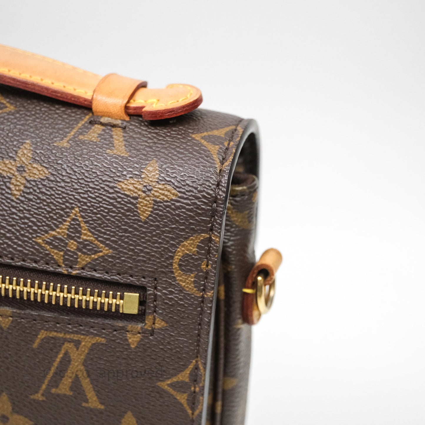 Louis Vuitton Pochette Metis Monogram