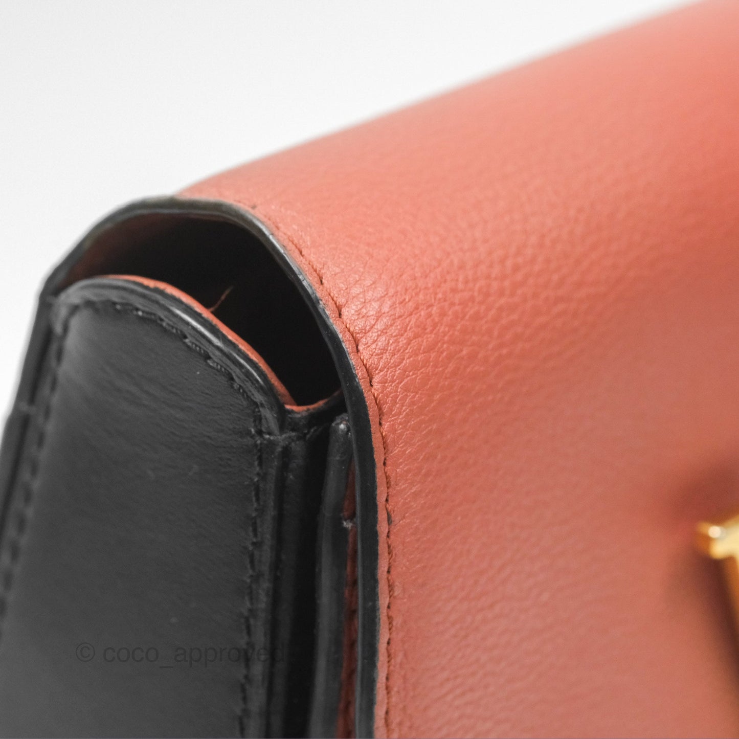 Louis Vuitton Vivienne Bag Brick Red Black