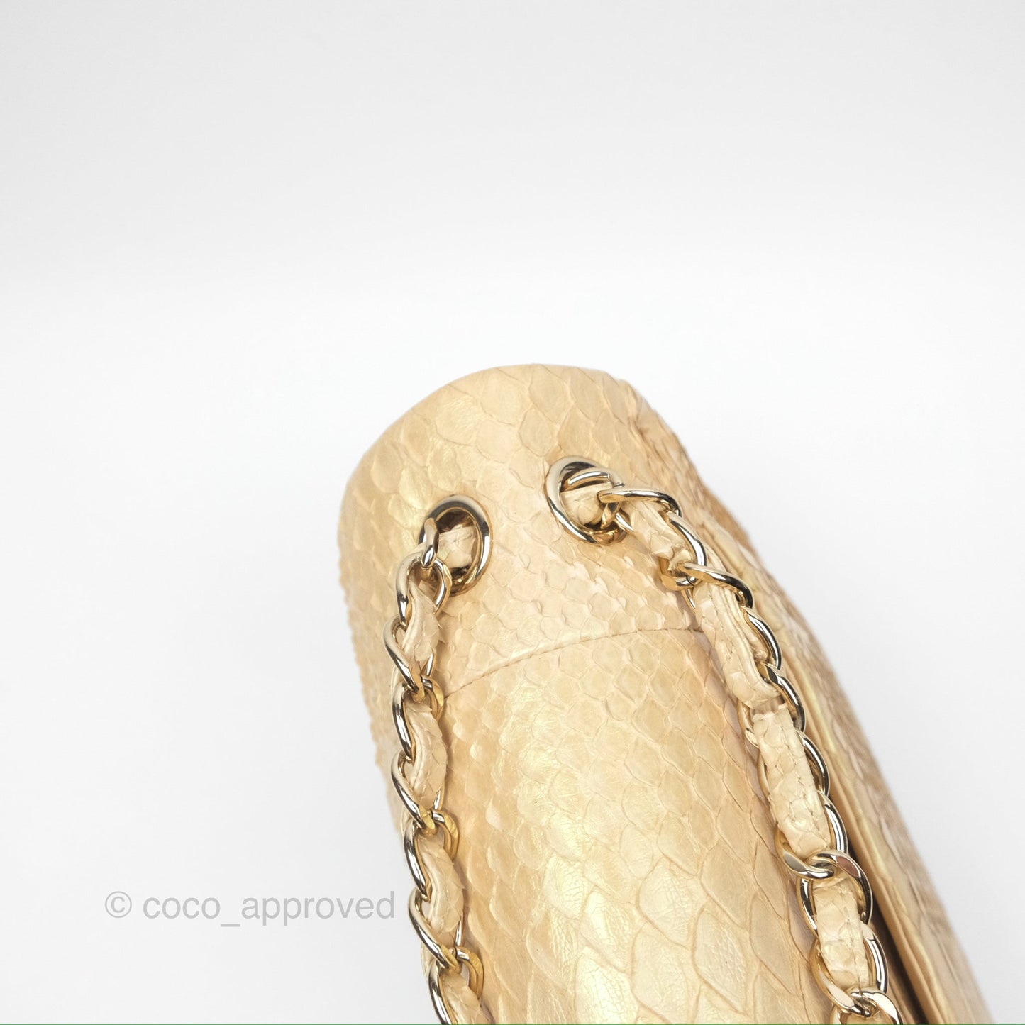 Chanel Jumbo Double Flap Iridescent Gold Python Gold Hardware⁣⁣