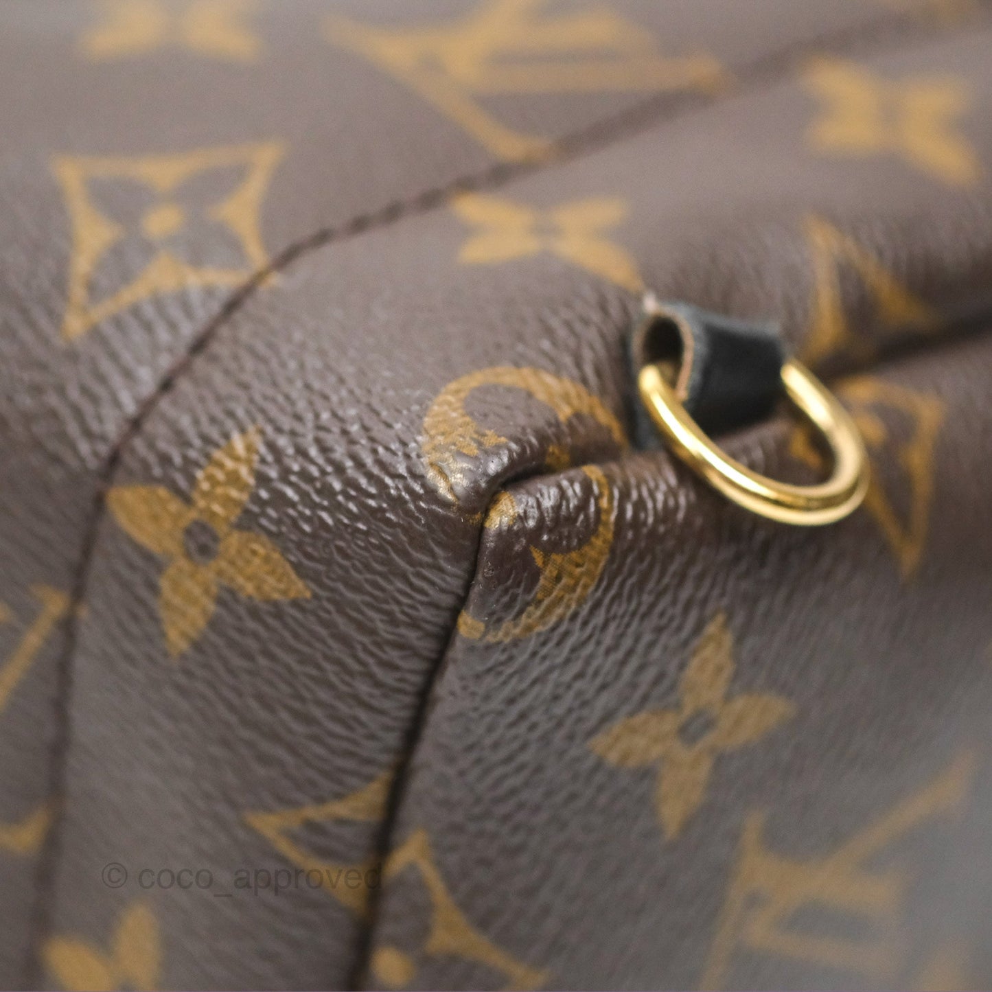 Louis Vuitton Mini Palm Springs Backpack⁣ Monogram