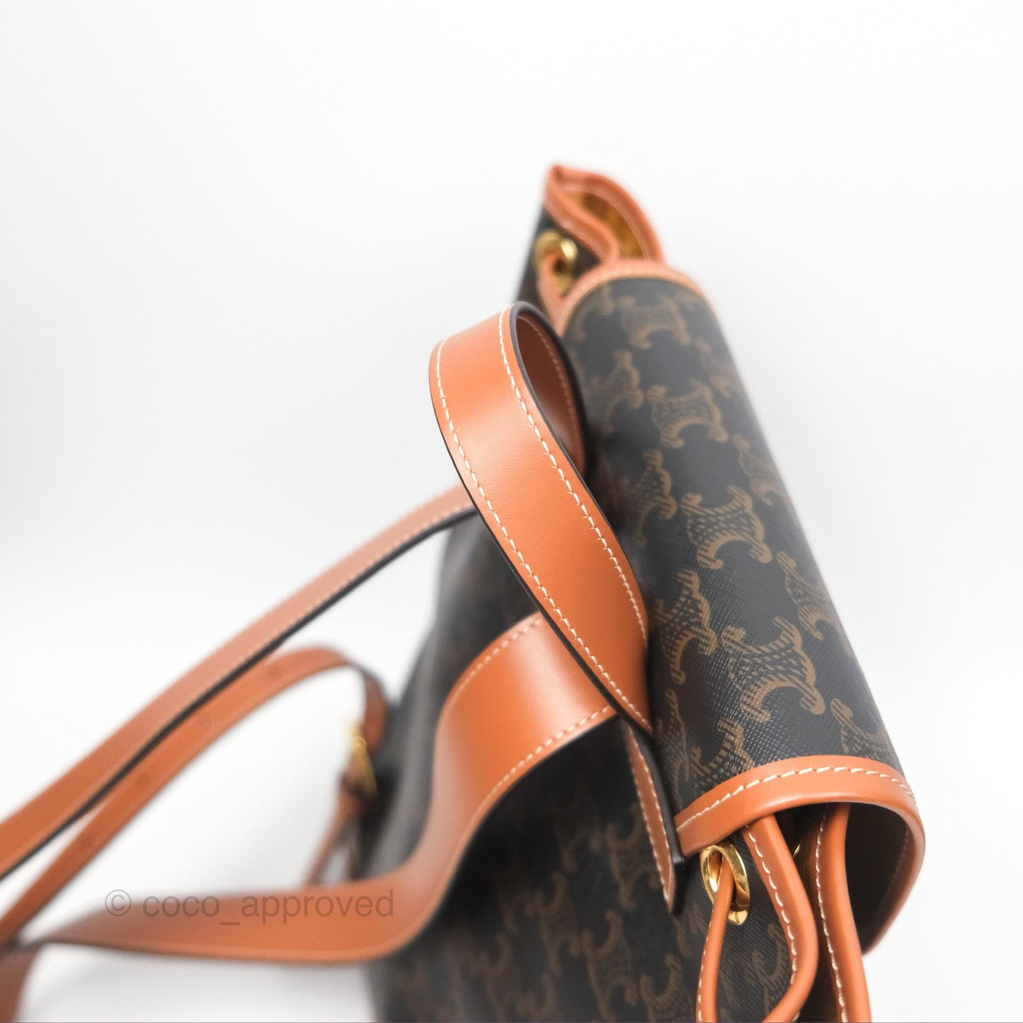 Celine Medium Folco Backpack in Triomphe Canvas Calfskin