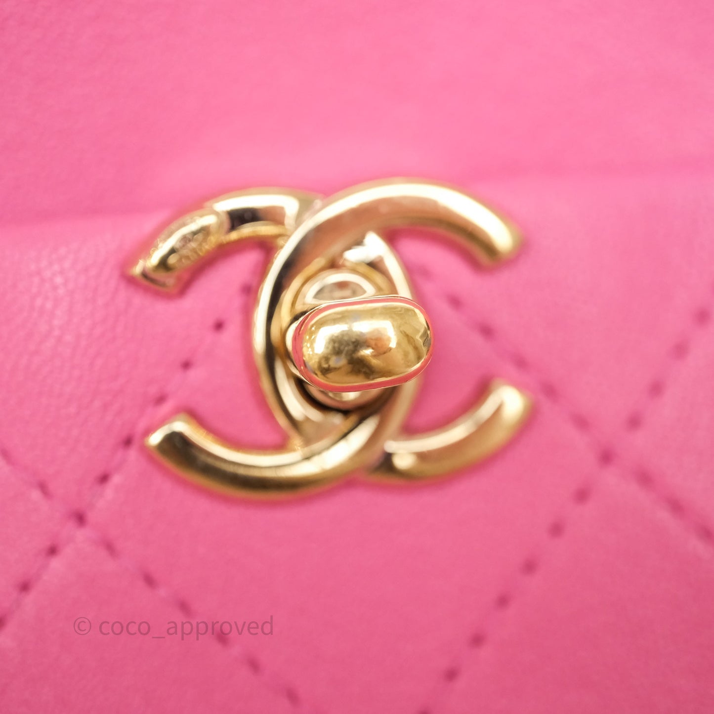 Chanel Camera Bag Pink Calfskin Aged Gold Hardware