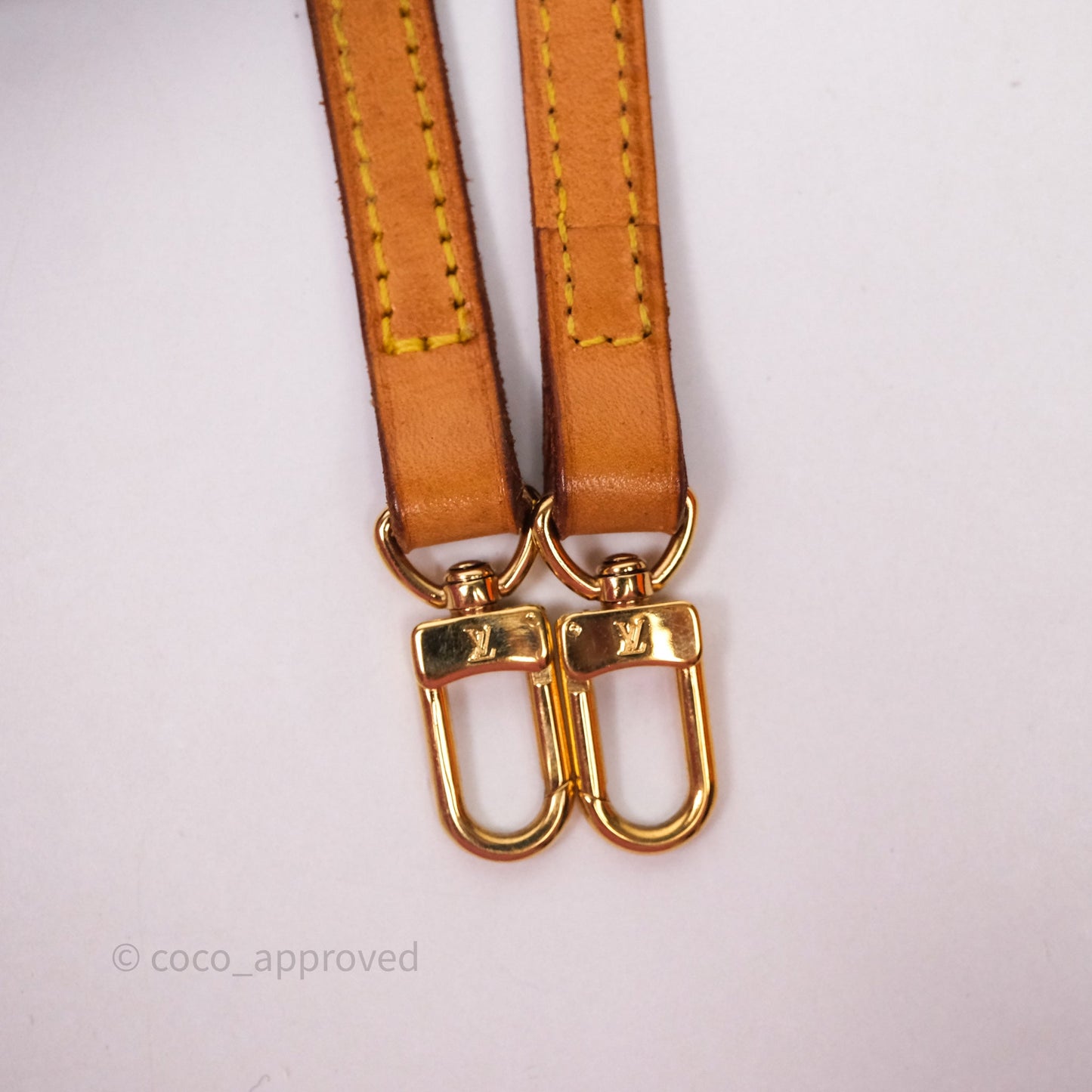 Louis Vuitton Monogram Spontini 2way Bag