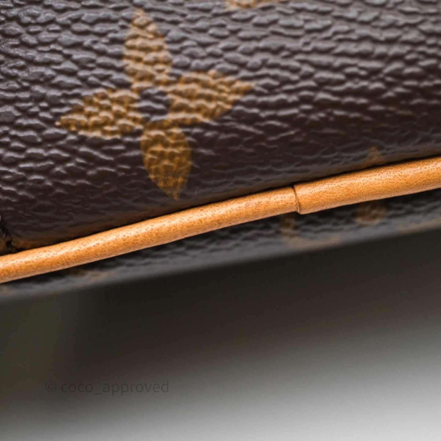 Louis Vuitton Nice Nano Monogram Canvas