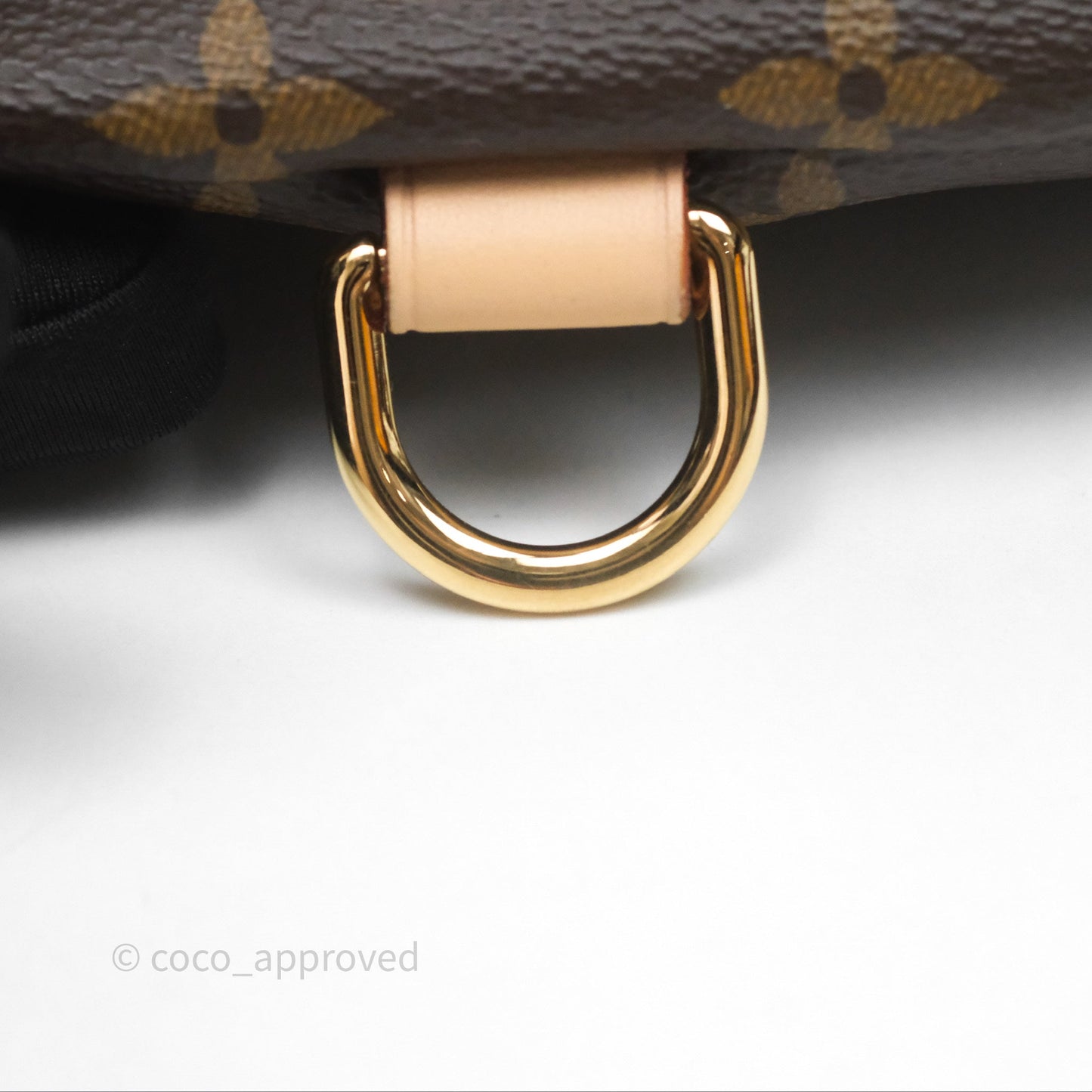 Louis Vuitton Bum Bag Monogram Canvas
