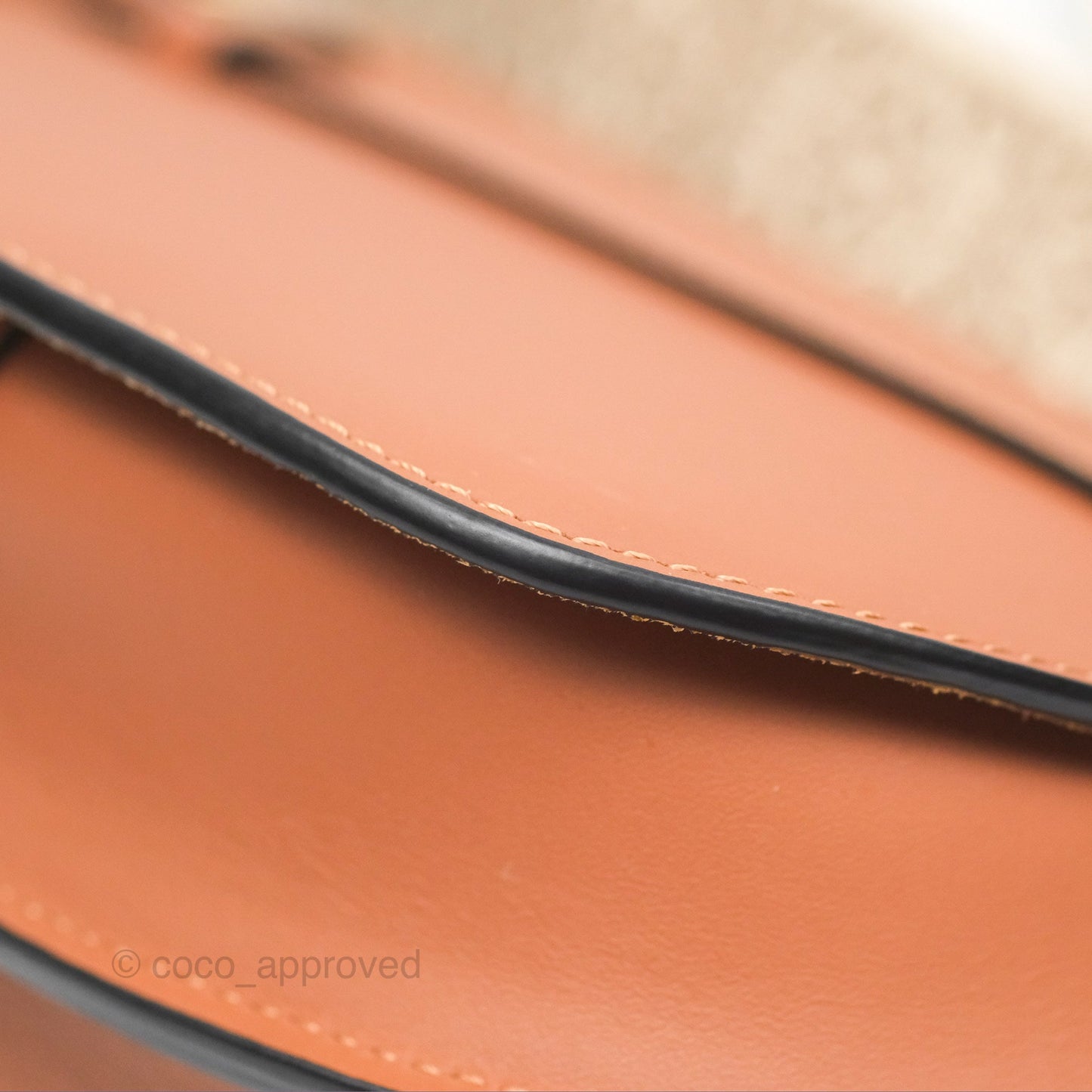 Loewe Mini Gate Dual Bag in Soft Calfskin & Jacquard Strap Tan