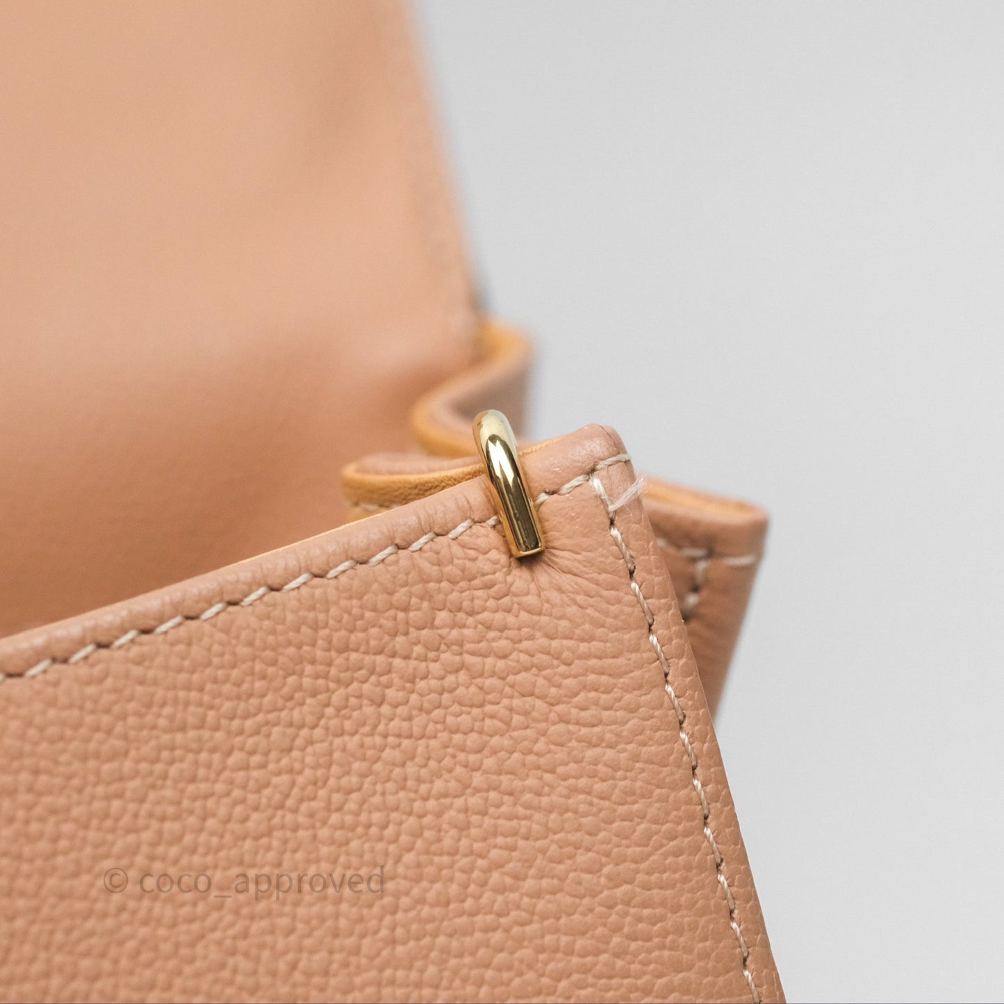 Delvaux Mini Brillant Bag Vison Grained Calfskin Gold Hardware with Twilly