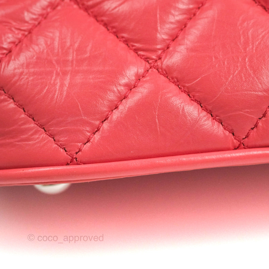 Chanel Aquarium PVC Coral Pink Crumpled Calfskin Silver Hardware