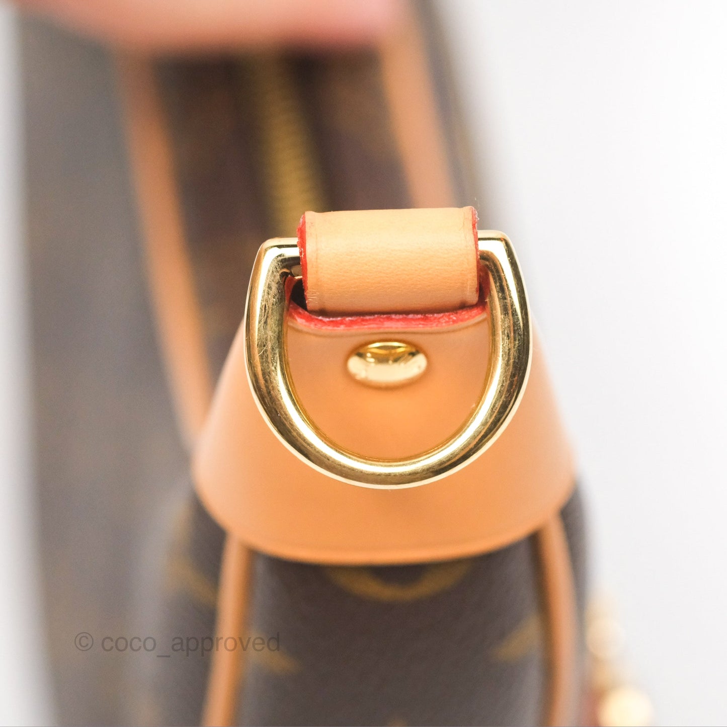 Louis Vuitton Loop Monogram Canvas