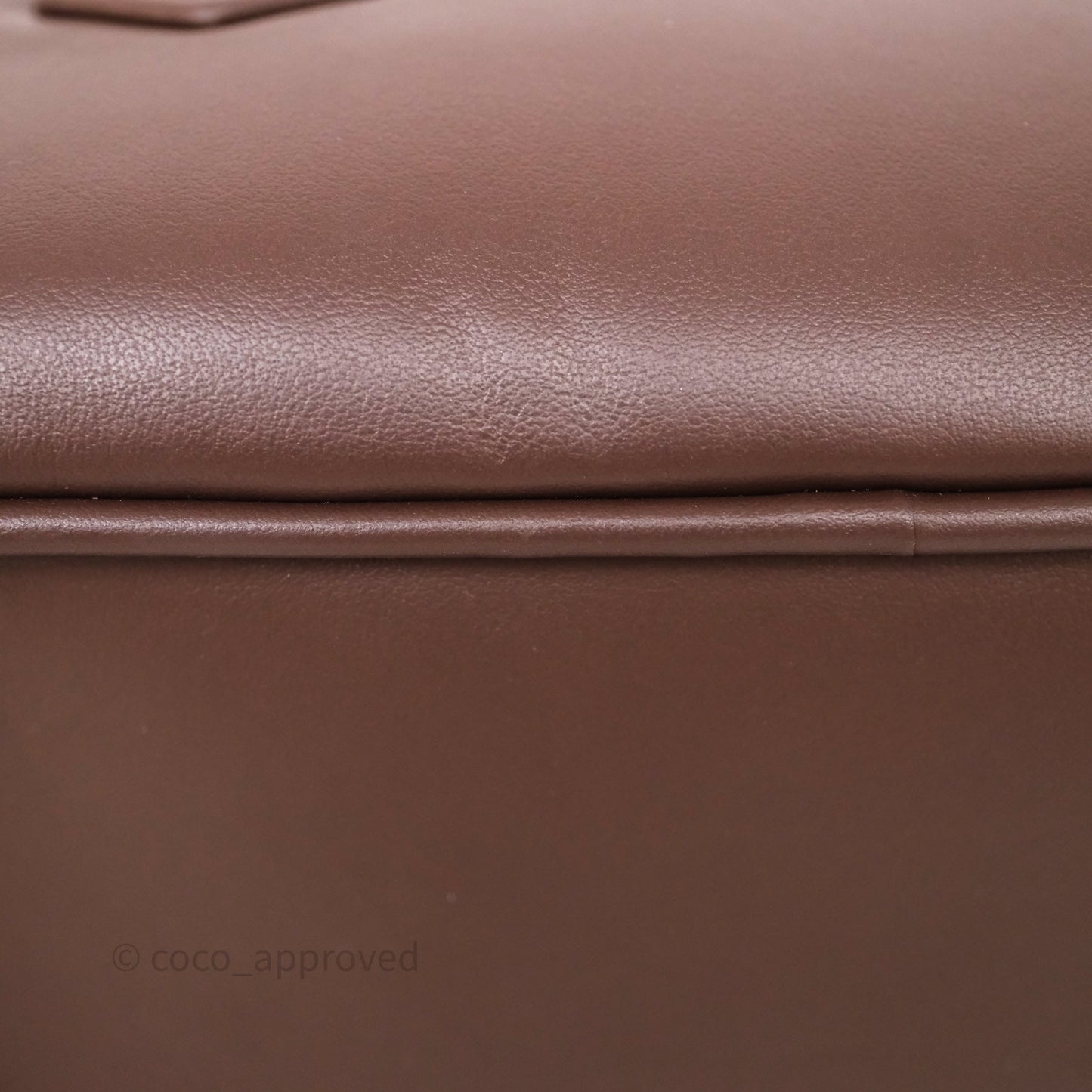 Miu Miu Arcadie Leather Bag Briarwood