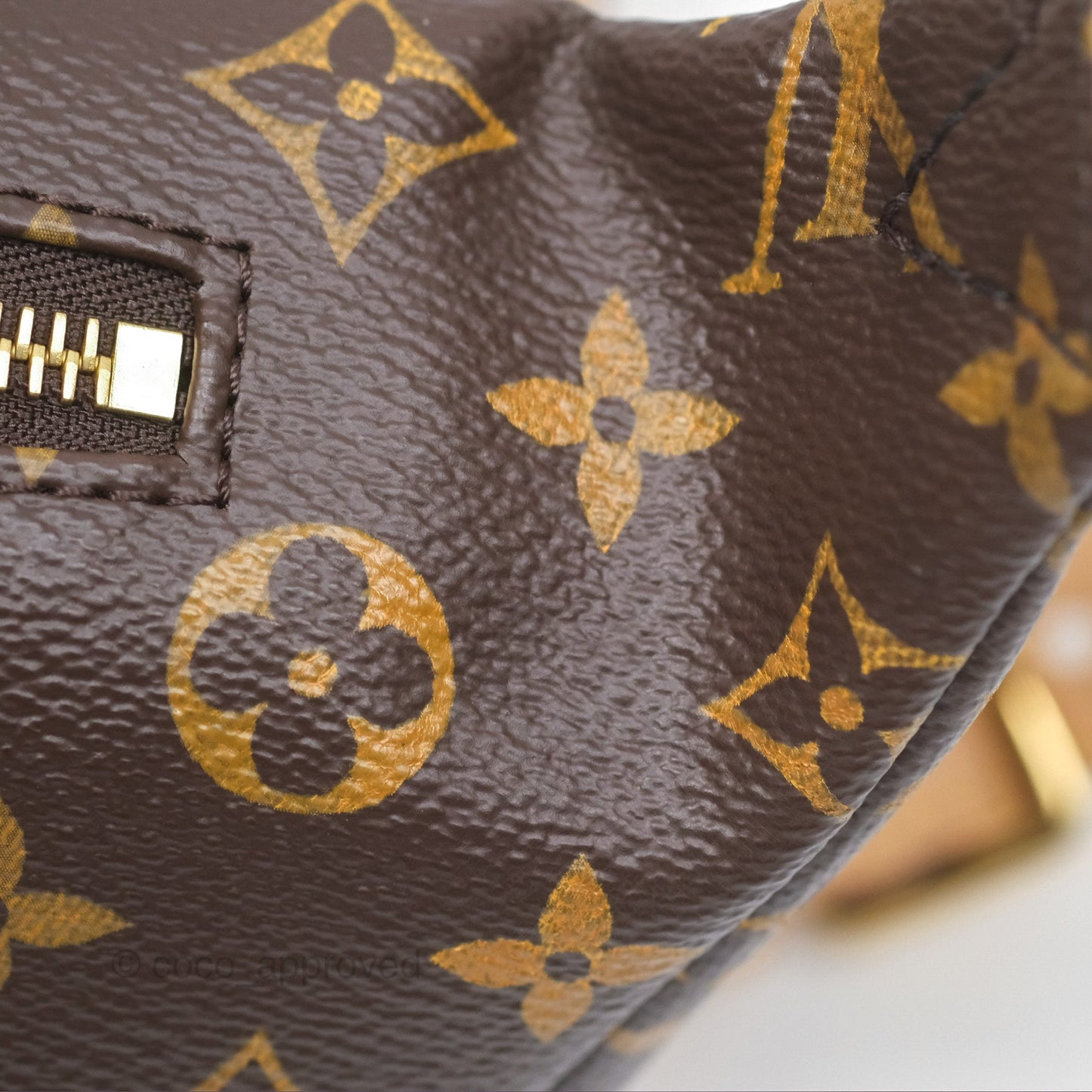 Louis Vuitton Bum Bag Monogram Canvas