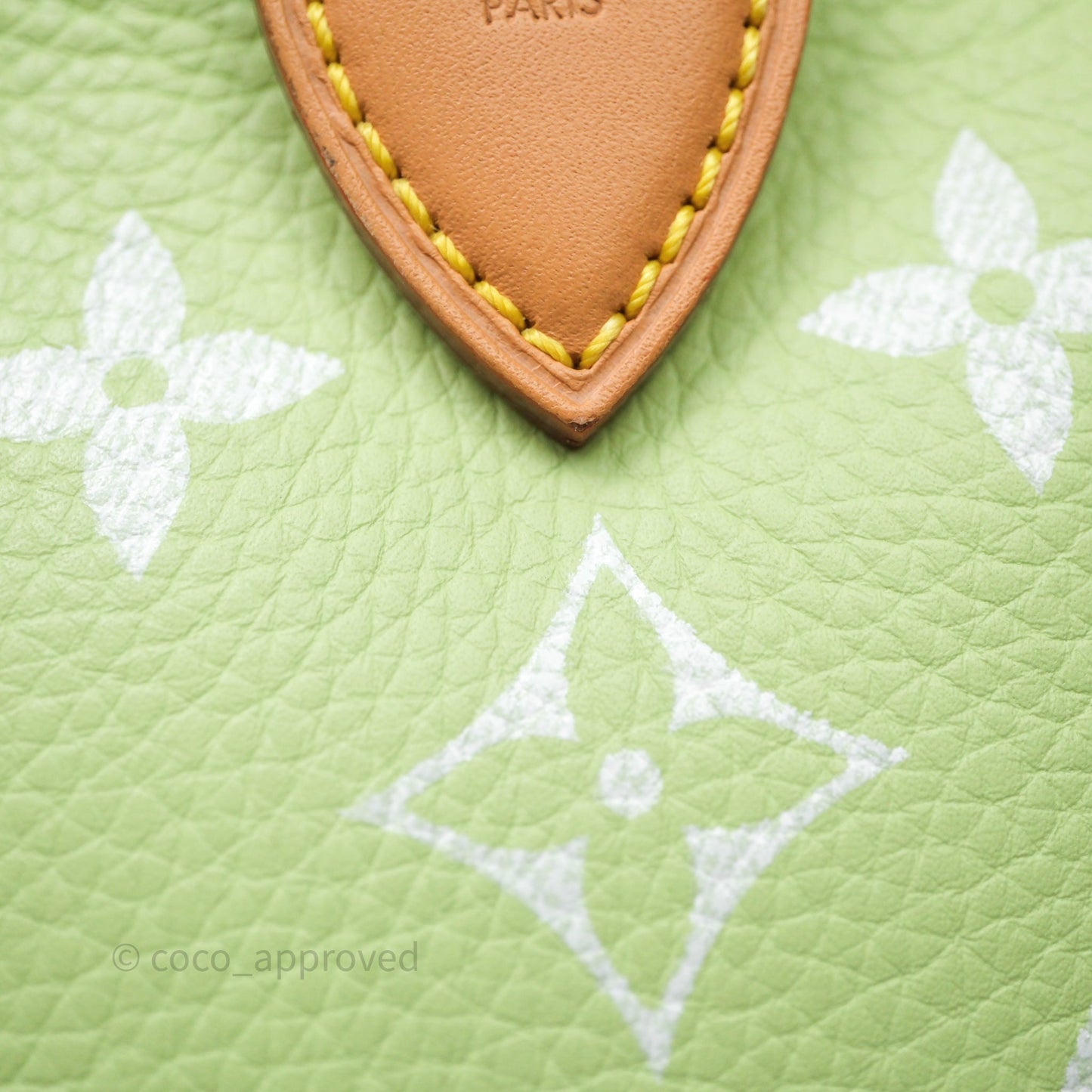 Louis Vuitton Speedy P9 Bandouliere 30 Vert Clair Bag