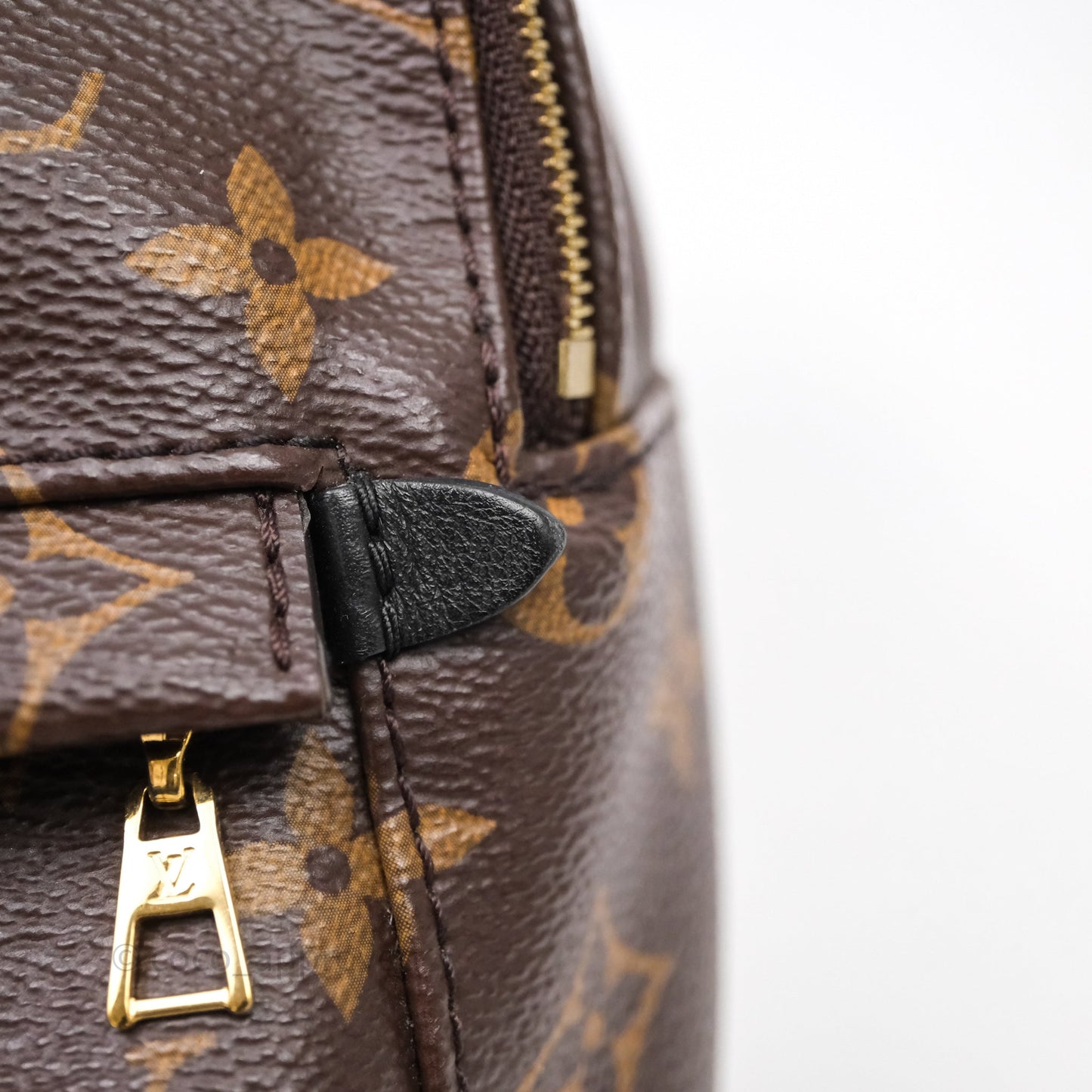 Louis Vuitton Mini Palm Springs Backpack⁣ Monogram