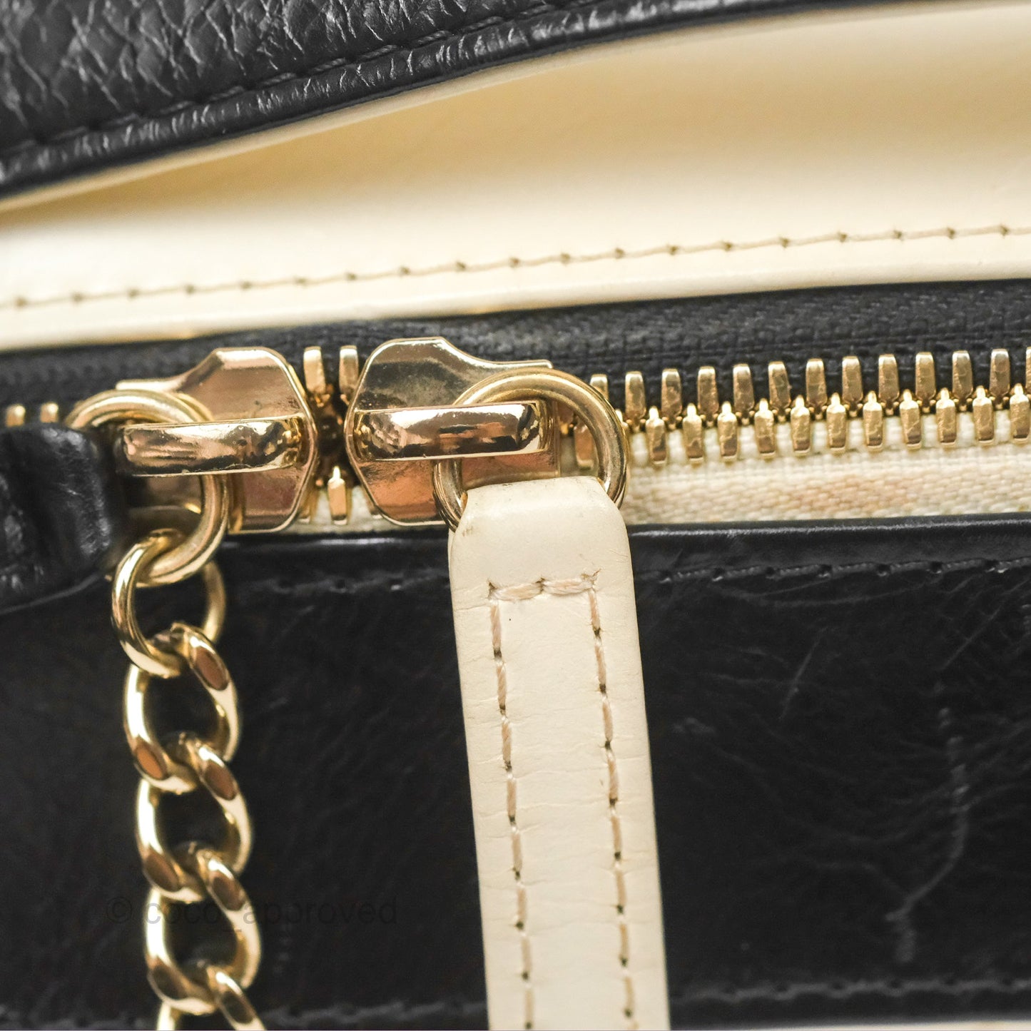 Chanel Camera Case Bag Black/White Calfskin Gold Hardware