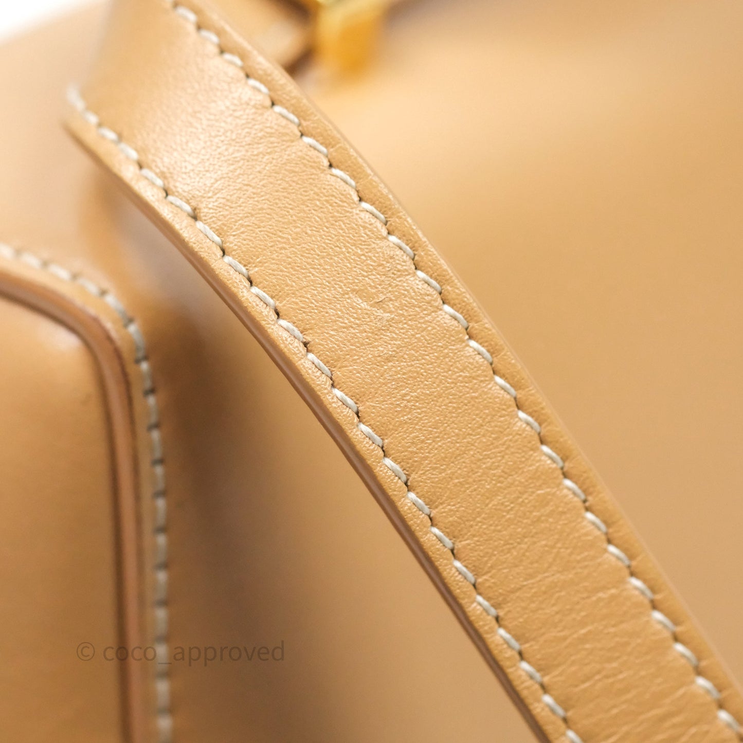 Loro Piana Extra Bag L27 Light Bamboo Calfskin Gold Hardware
