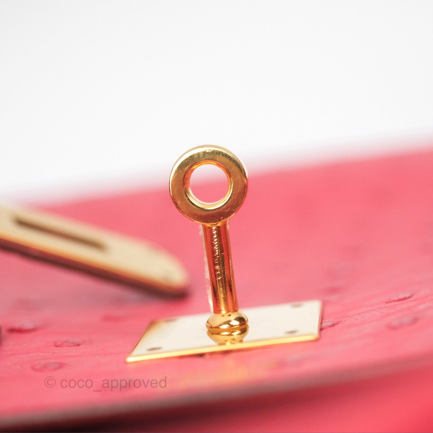 Hermès Birkin Retourne 30 Bougainvillea Ostrich Gold Hardware
