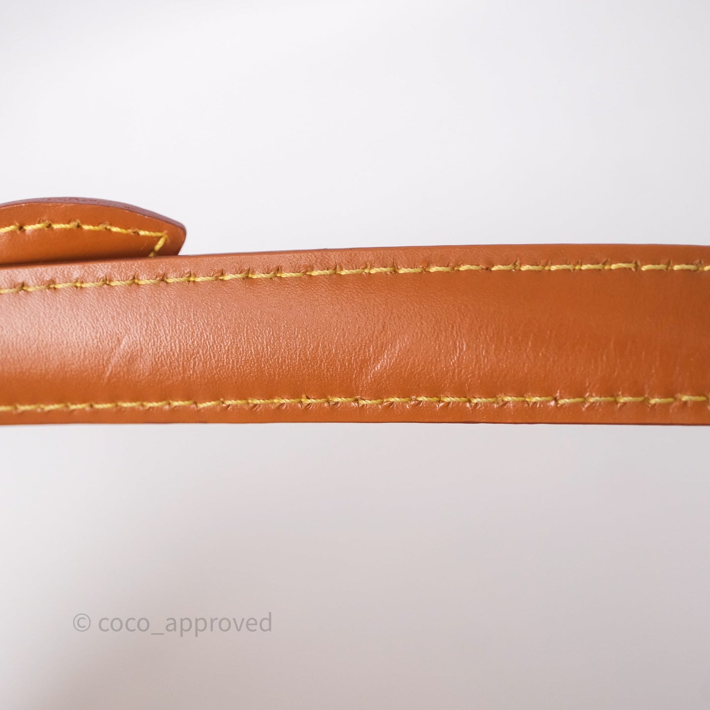 Louis Vuitton Cluny Shoulder Bag Brown Epi