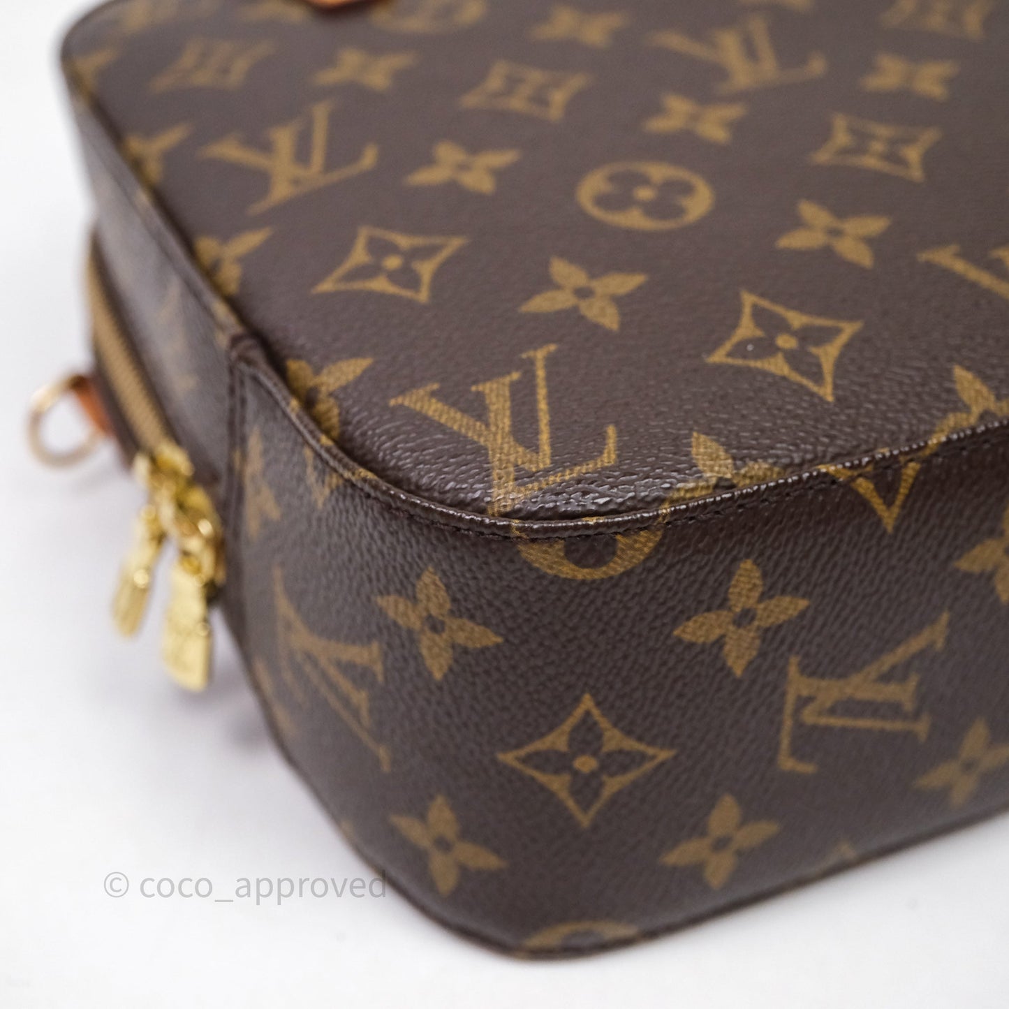 Louis Vuitton Monogram Spontini 2way Bag