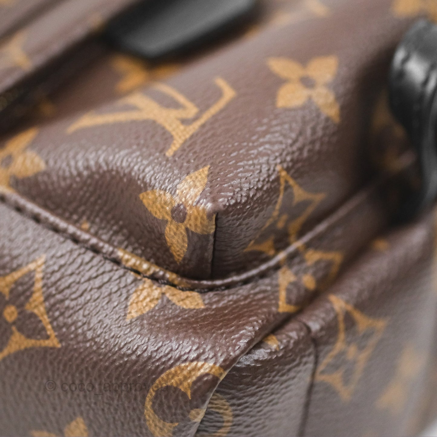 Louis Vuitton Monogram Mini Palm Springs Backpack⁣