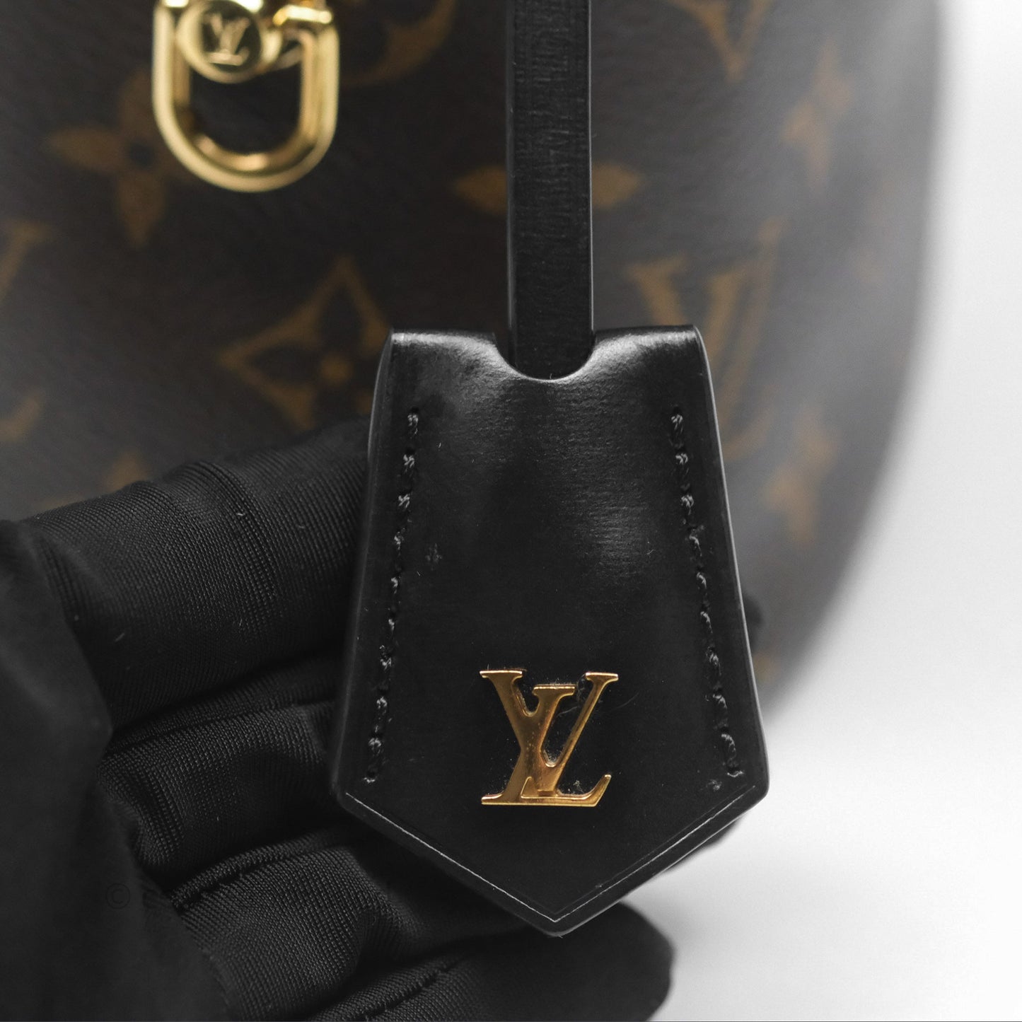 Louis Vuitton Reverse Monogram Vanity PM